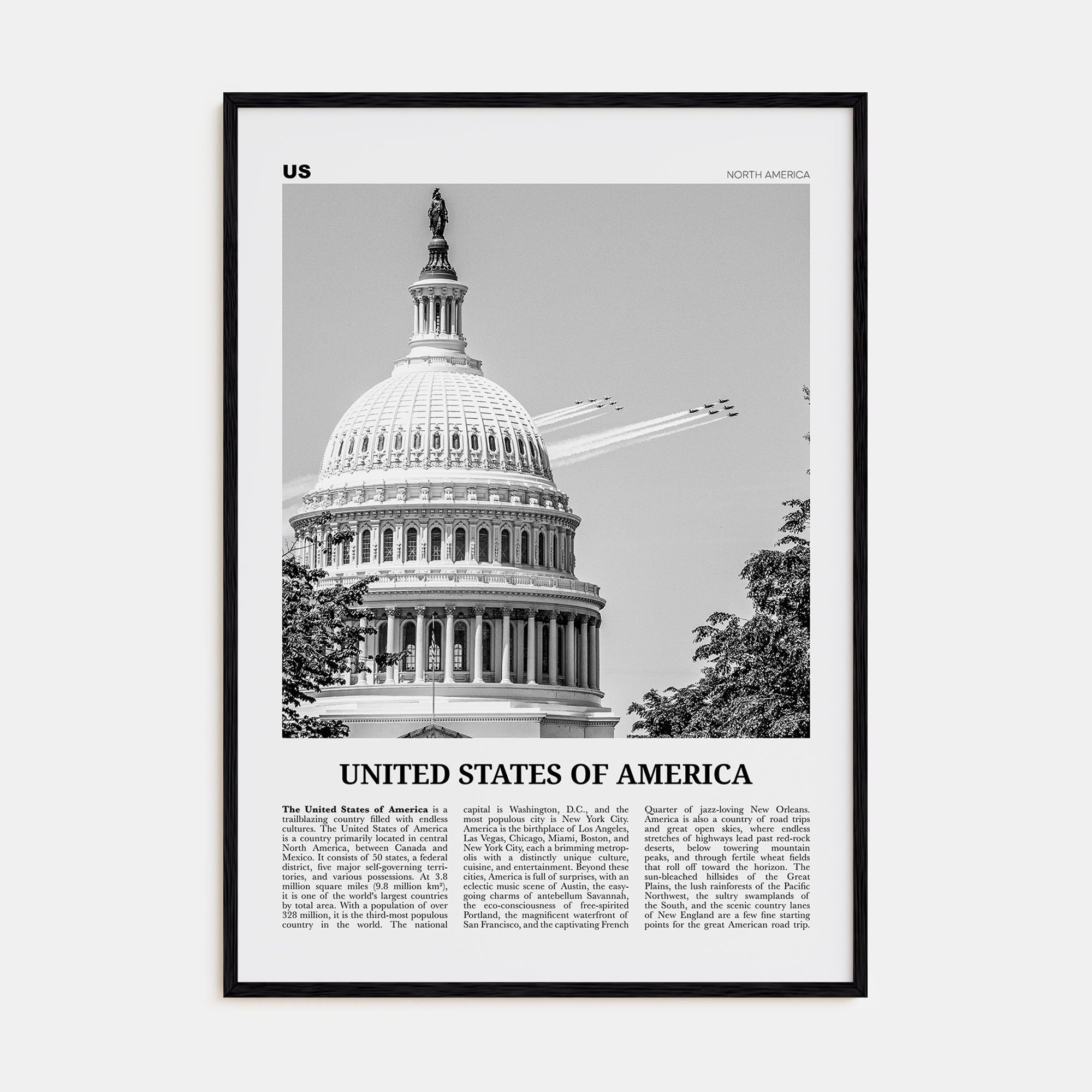 United States of America Travel B&W No 2 Poster