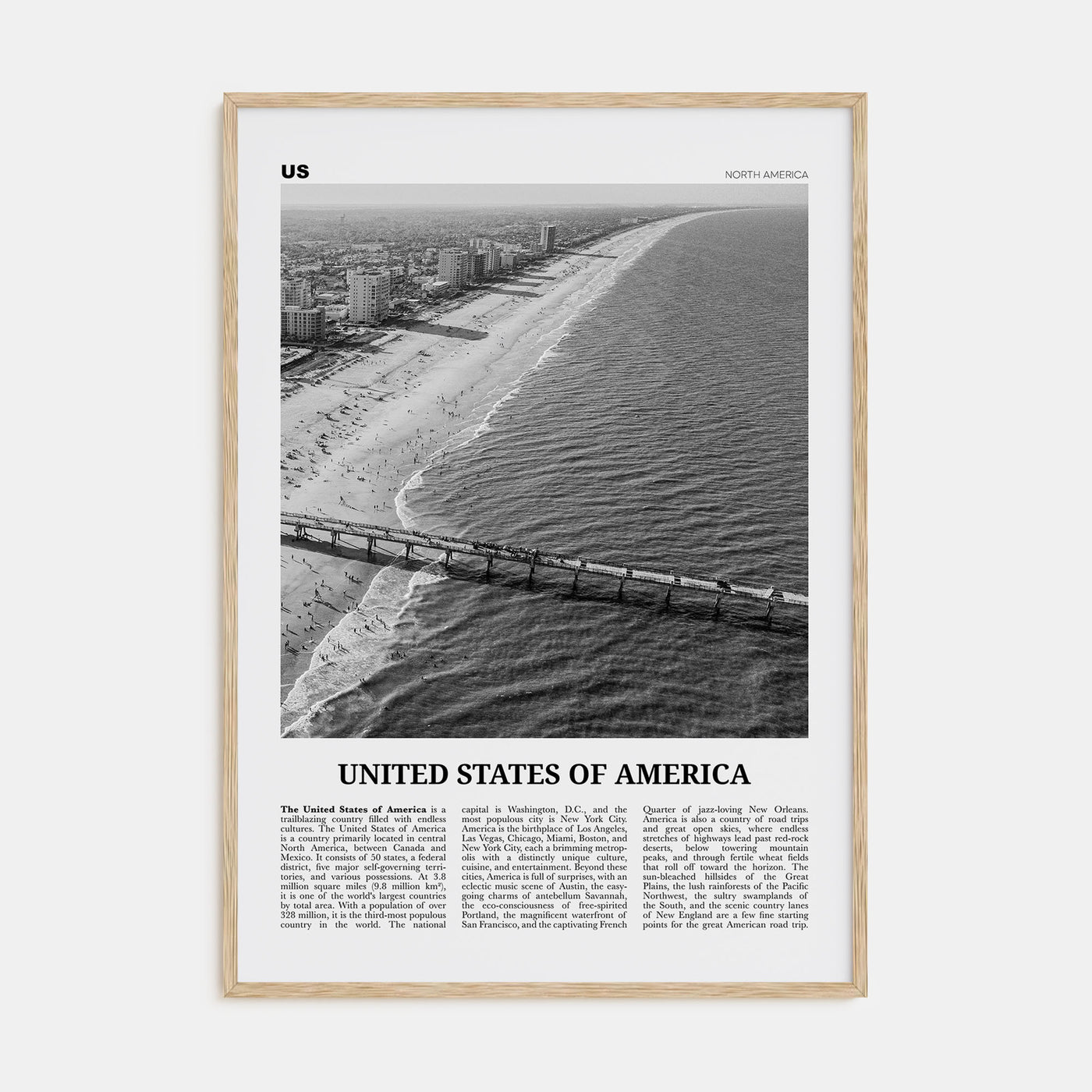 United States of America Travel B&W No 3 Poster