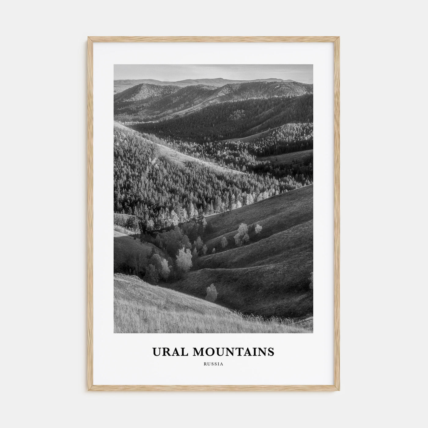 Ural Mountains Portrait B&W Poster