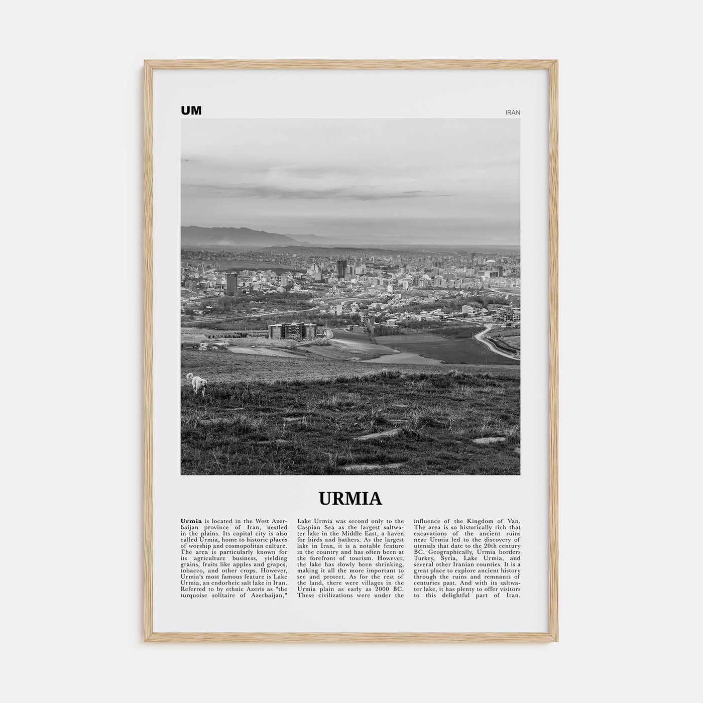 Urmia (County) Travel B&W Poster