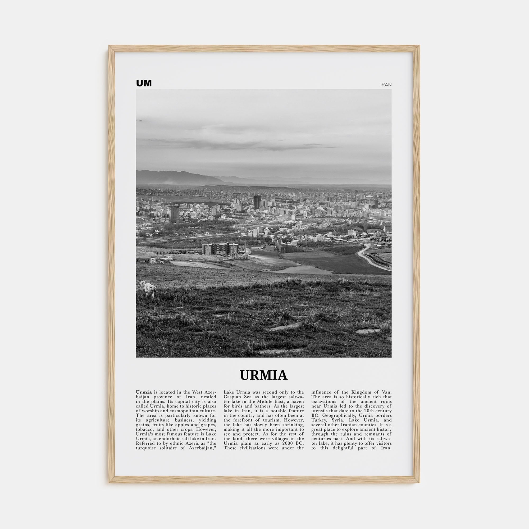 Urmia (County) Travel B&W Poster