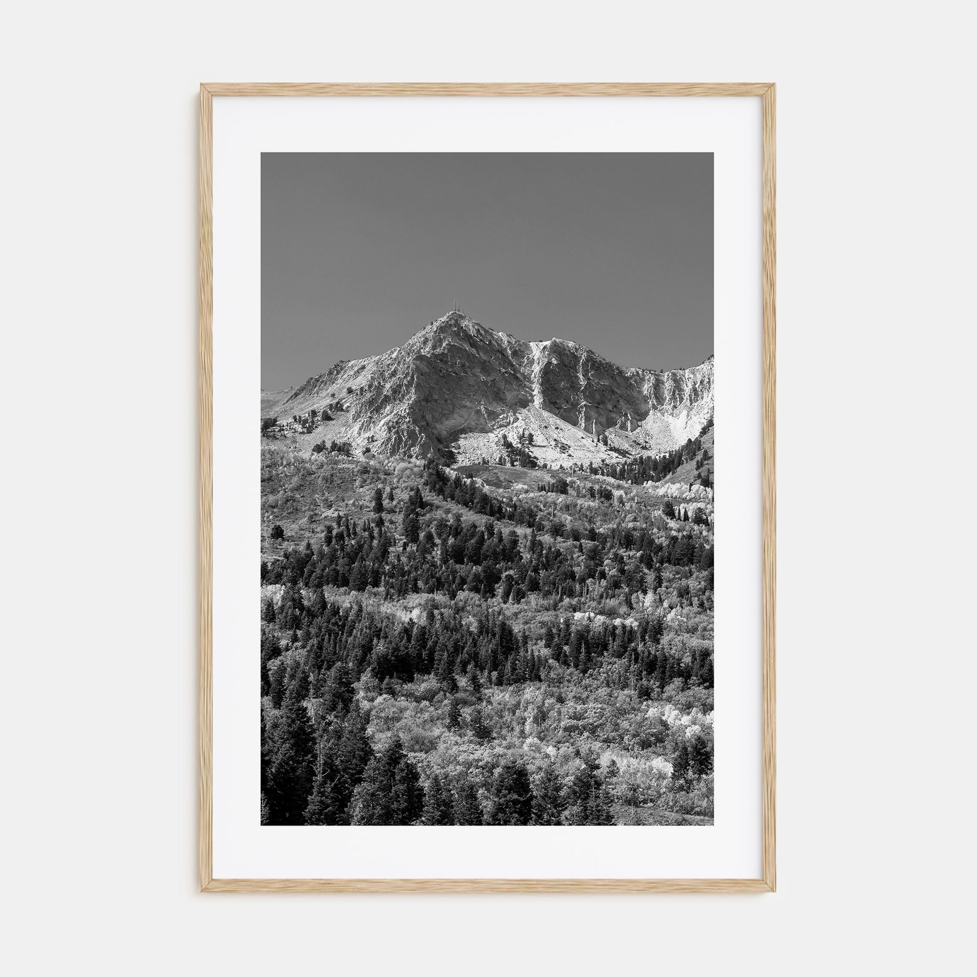 Utah Photo B&W No 1 Poster
