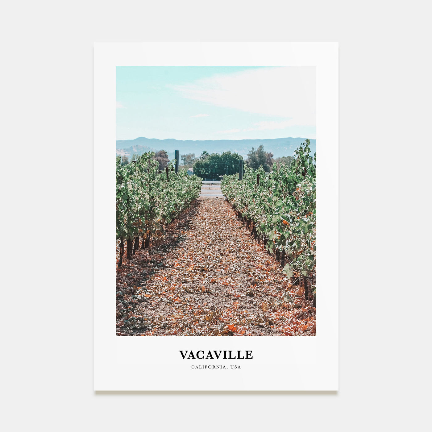 Vacaville Portrait Color Poster