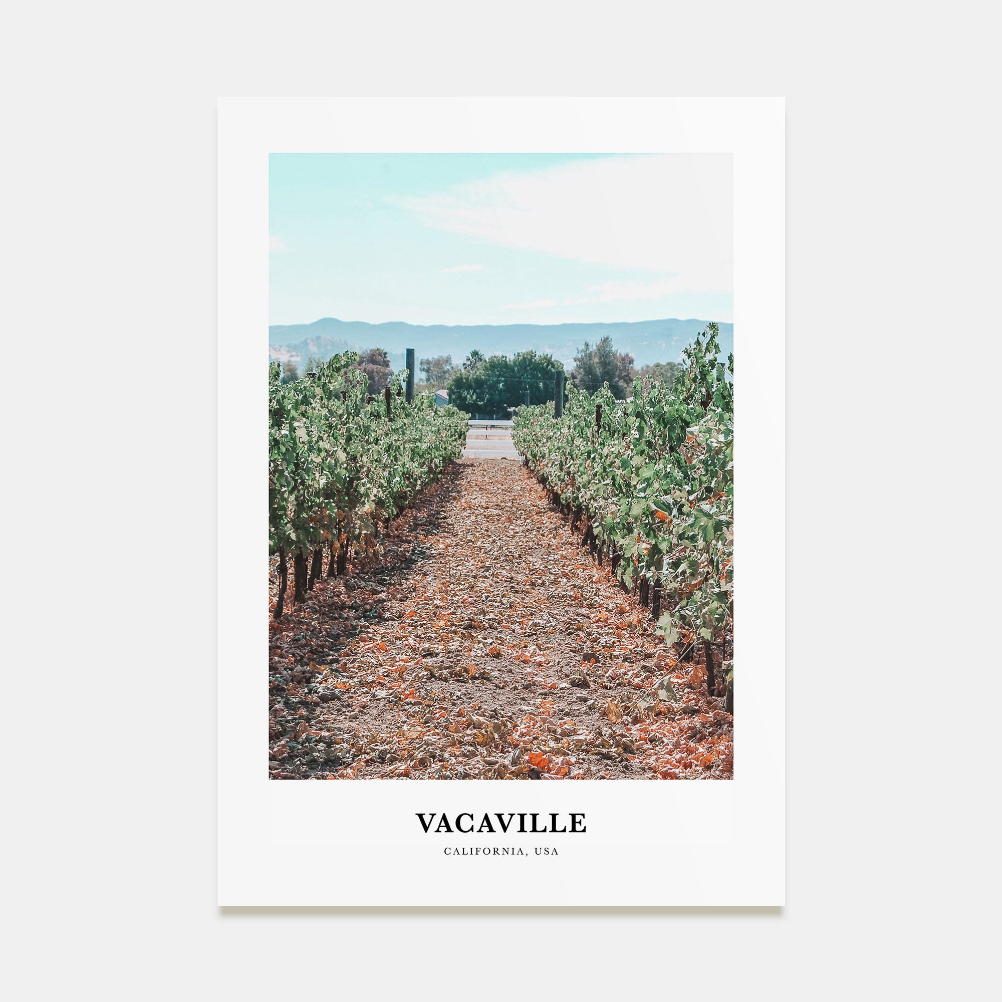 Vacaville Portrait Color Poster