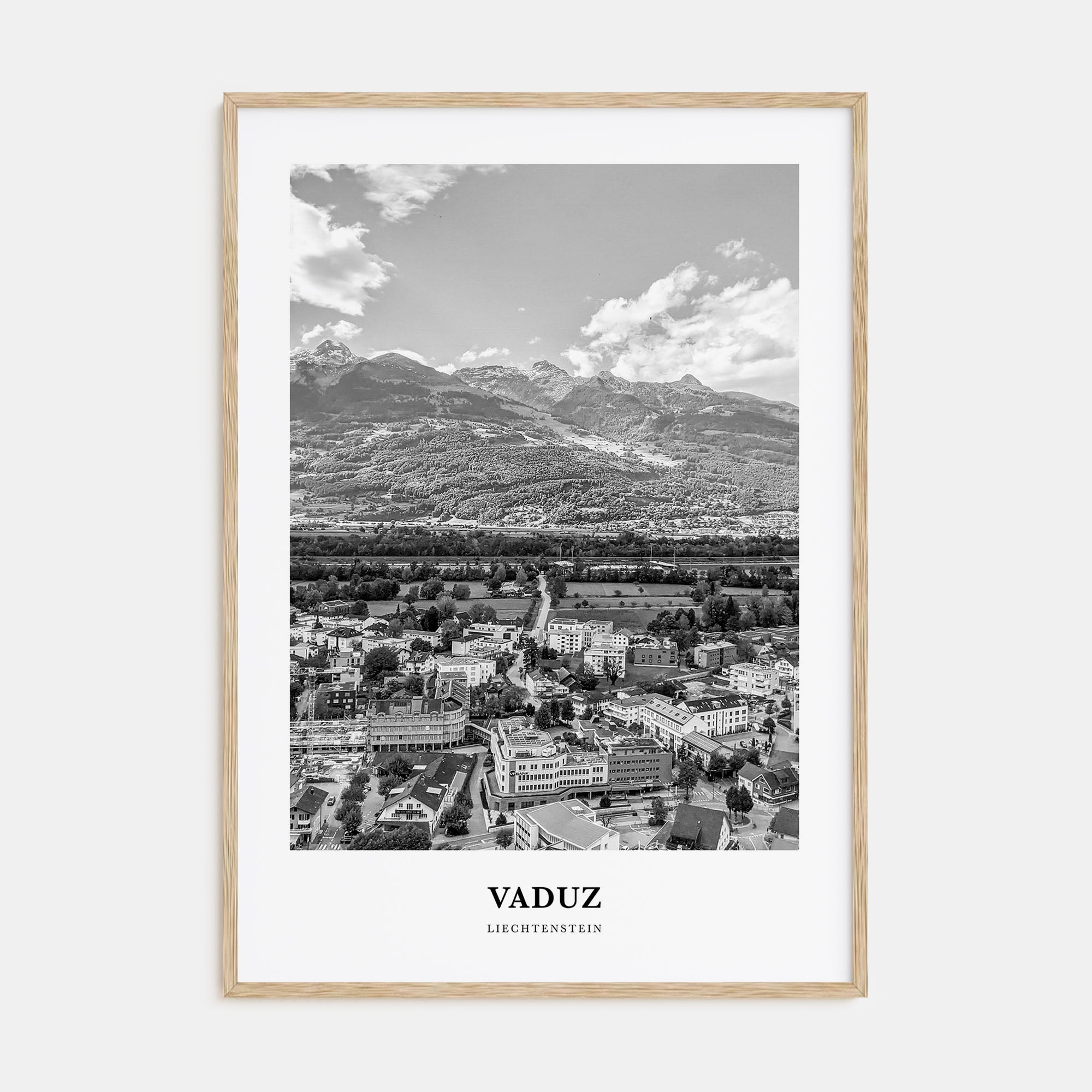 Vaduz Portrait B&W Poster