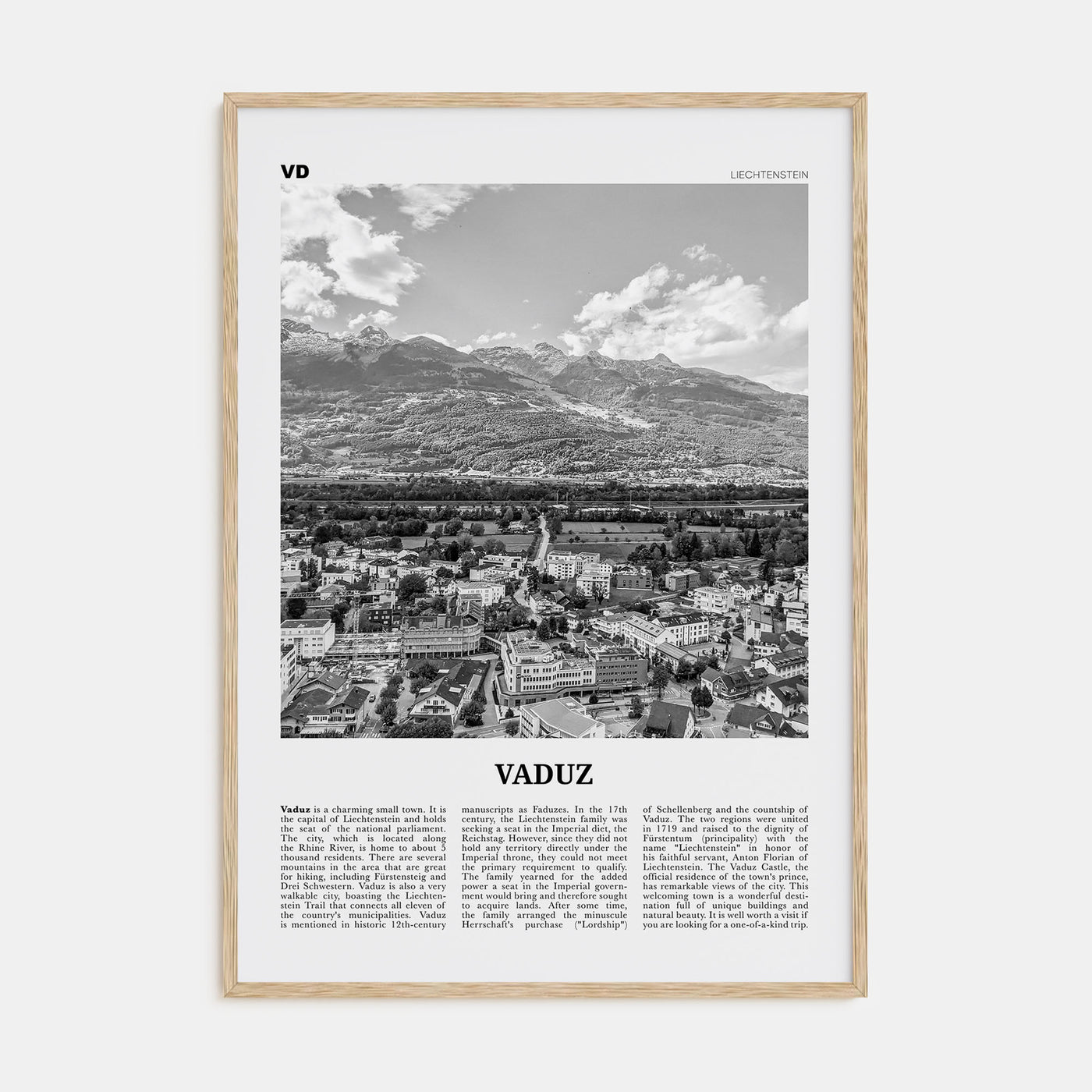Vaduz Travel B&W Poster