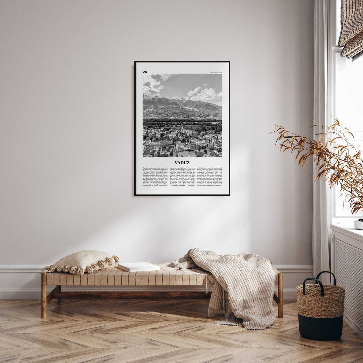 Vaduz Travel B&W Poster