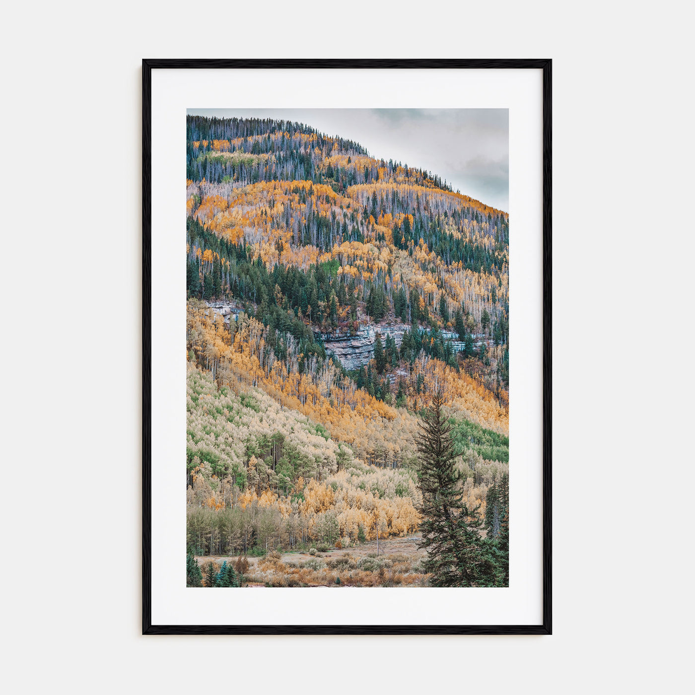 Vail Photo Color No 2 Poster
