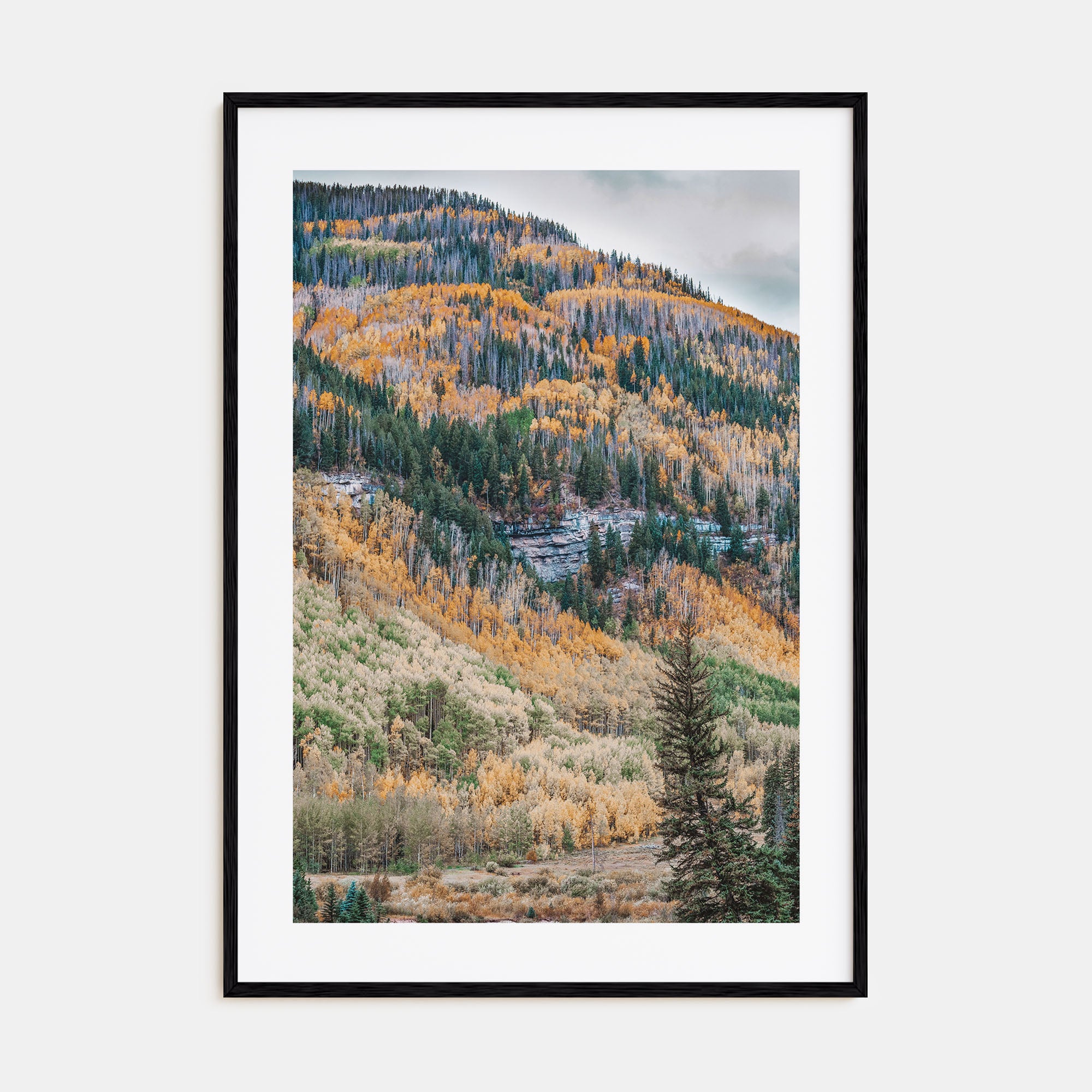 Vail Photo Color No 2 Poster