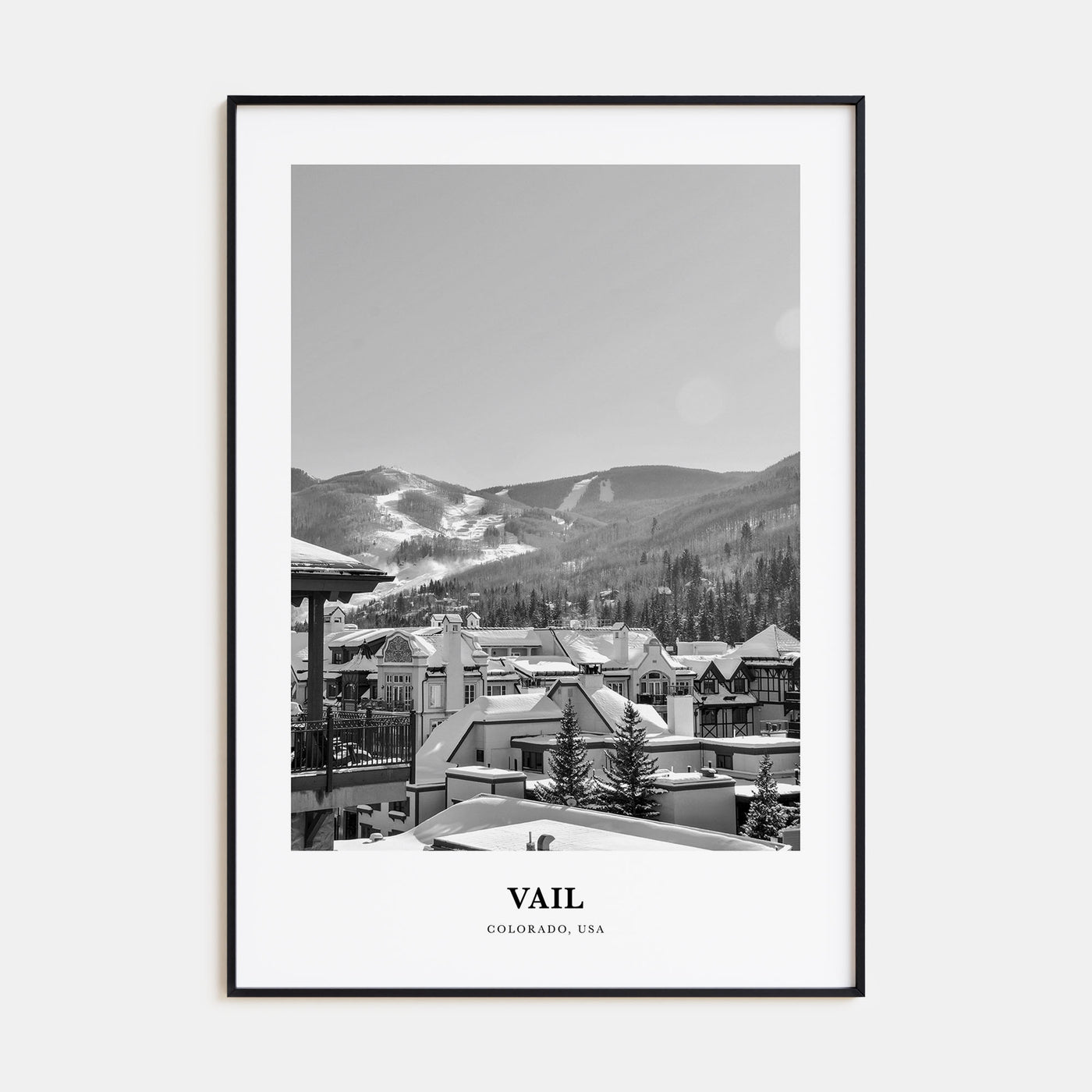 Vail Portrait B&W Poster