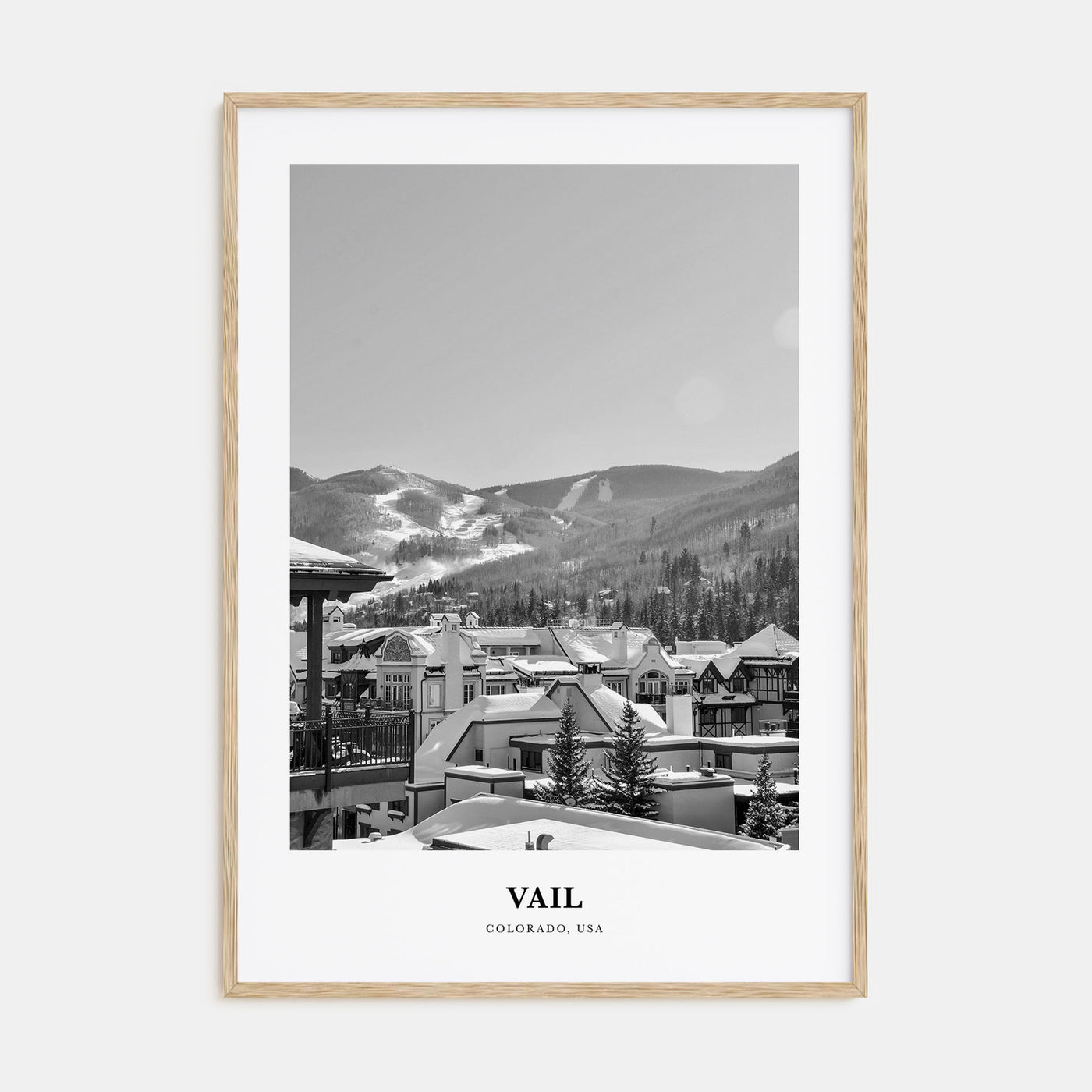 Vail Portrait B&W Poster