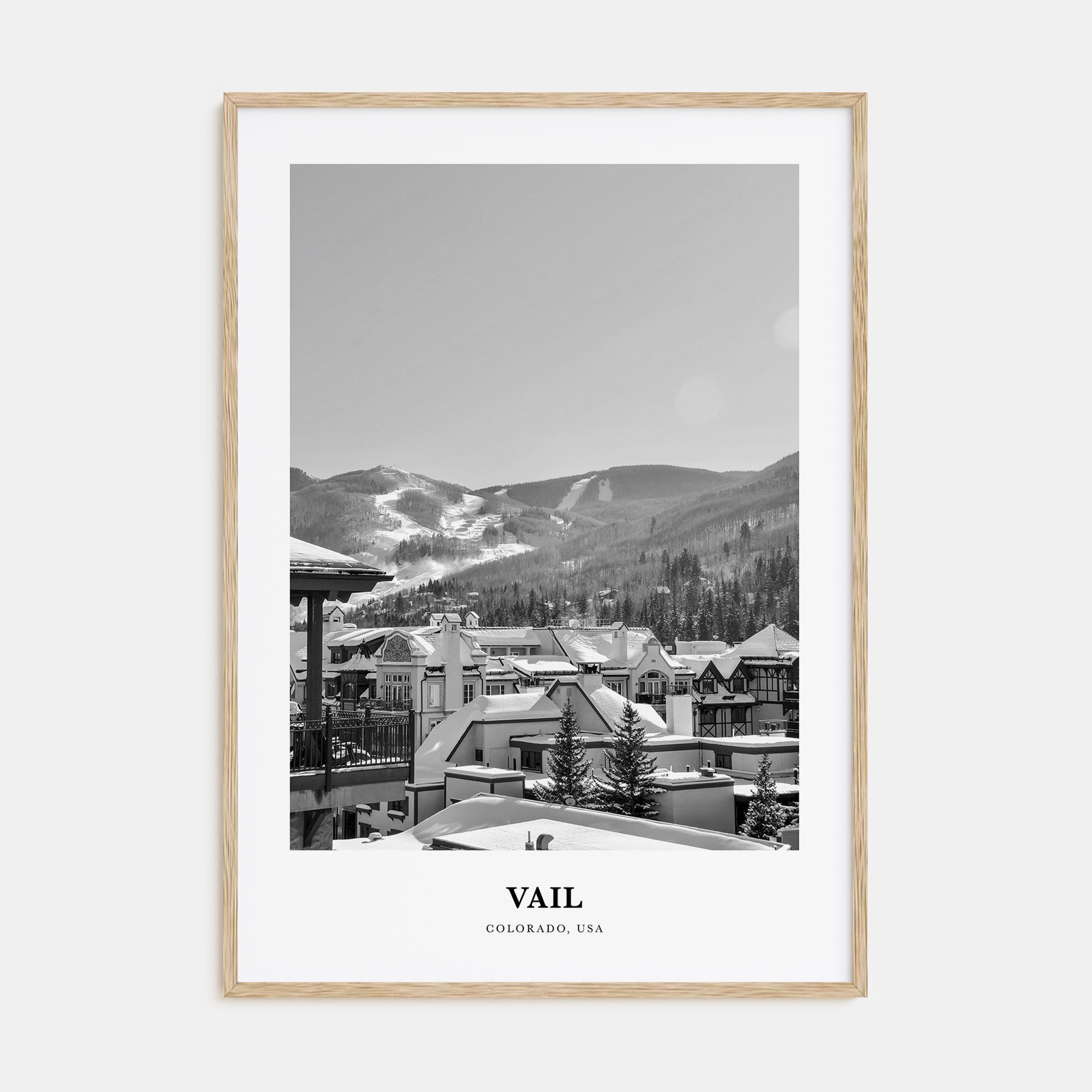Vail Portrait B&W Poster