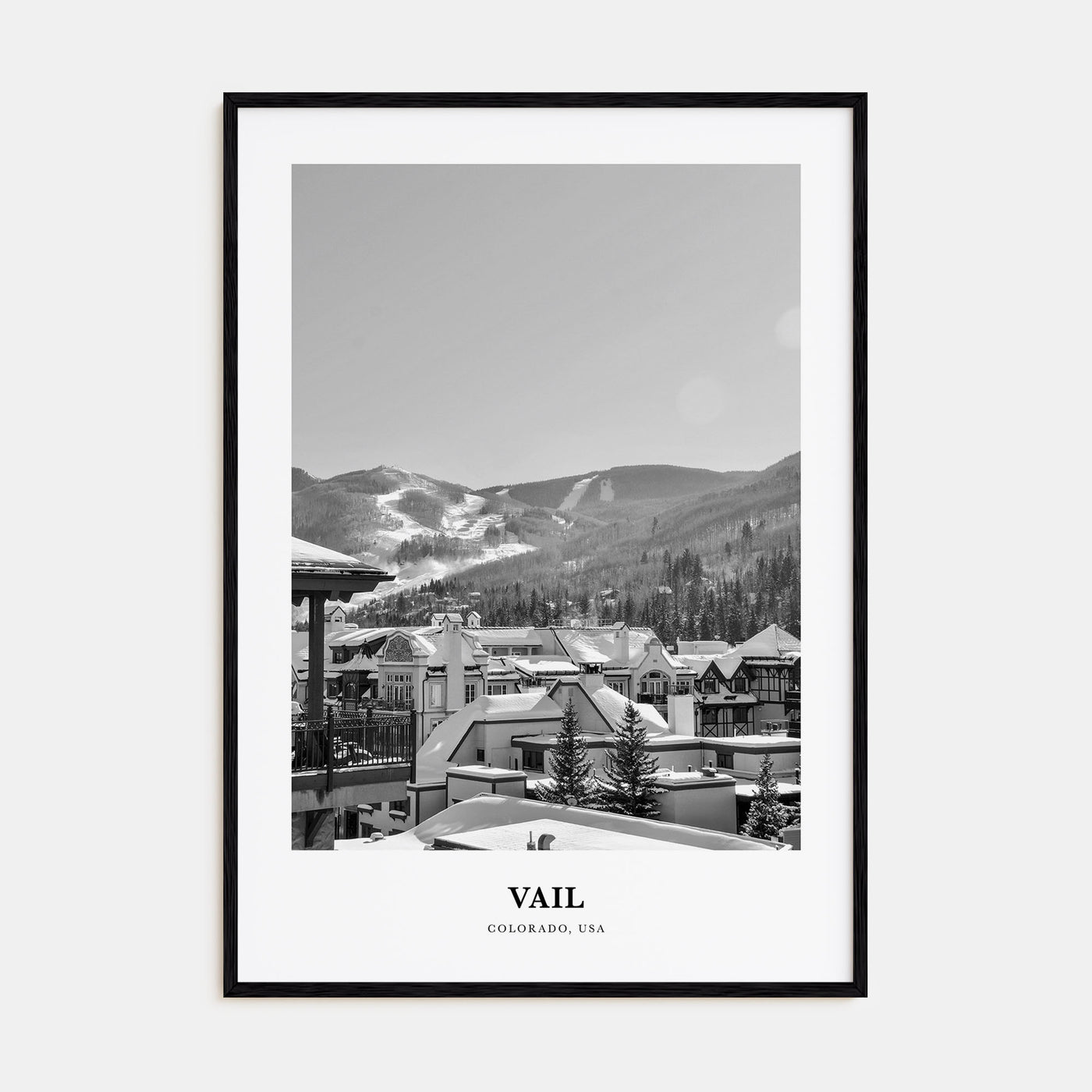 Vail Portrait B&W Poster
