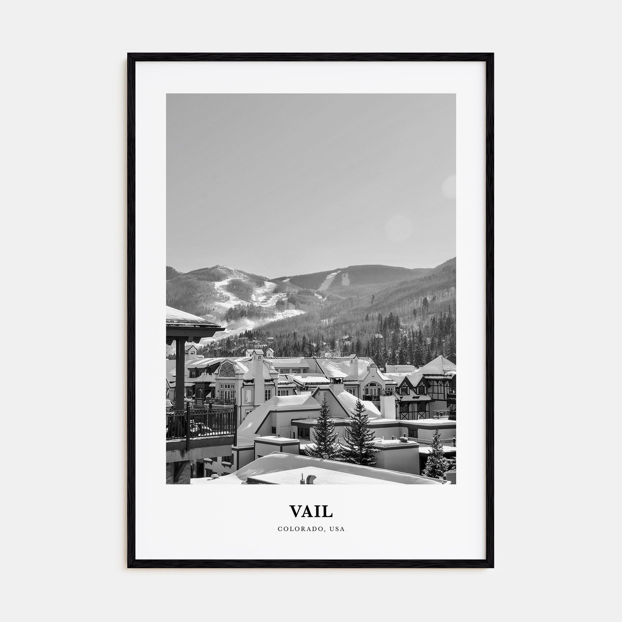 Vail Portrait B&W Poster
