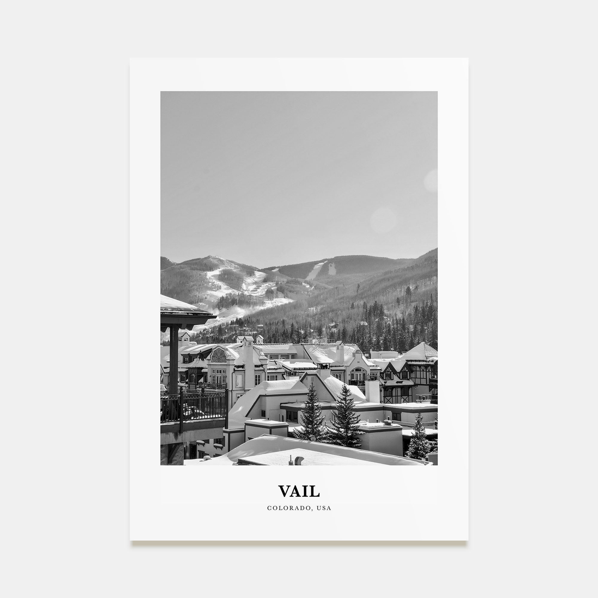 Vail Portrait B&W Poster