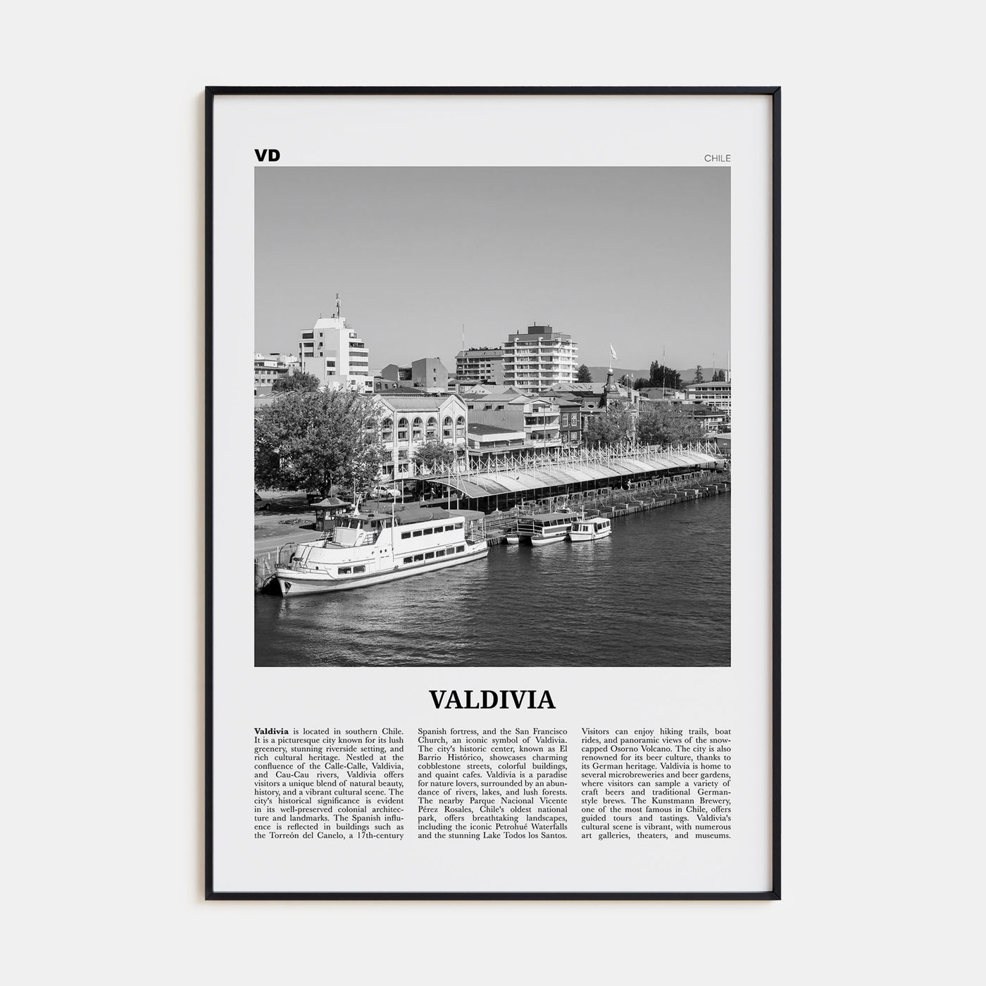 Valdivia Travel B&W Poster