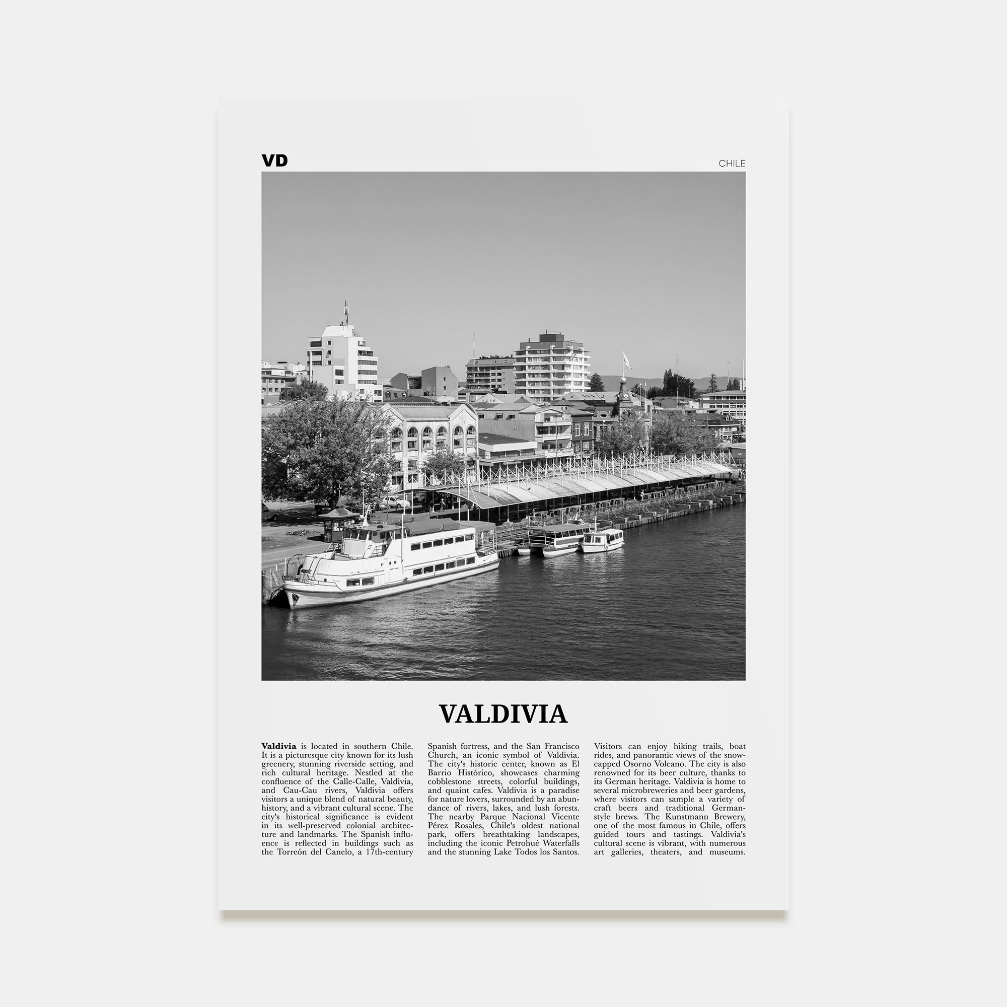 Valdivia Travel B&W Poster