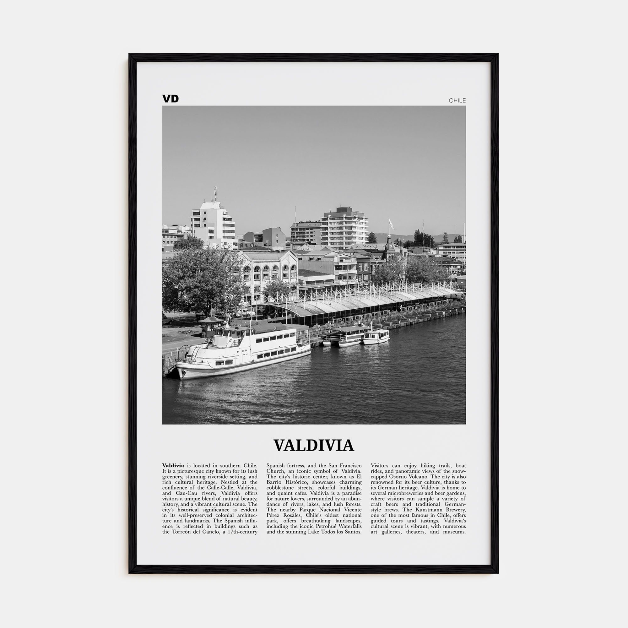 Valdivia Travel B&W Poster