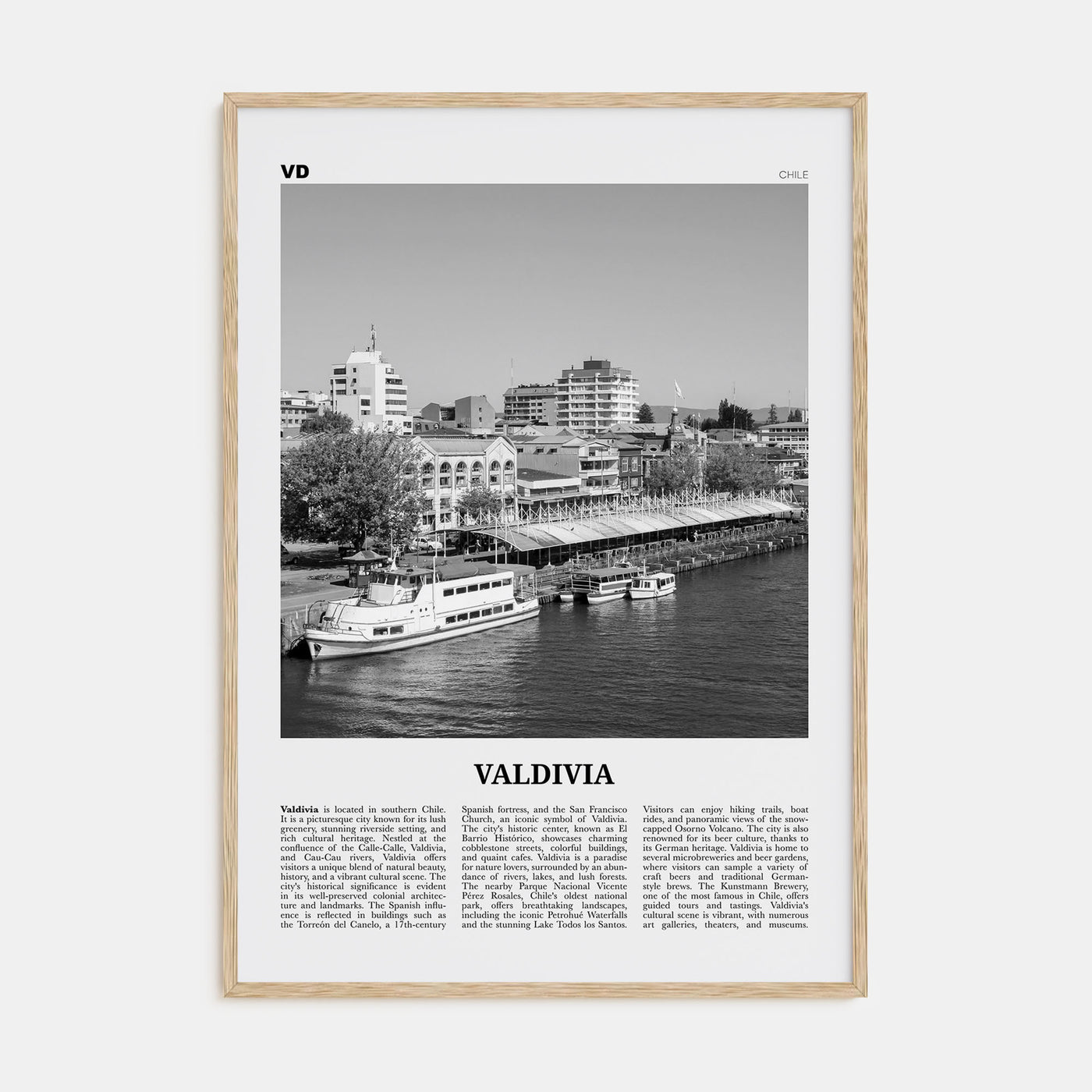 Valdivia Travel B&W Poster
