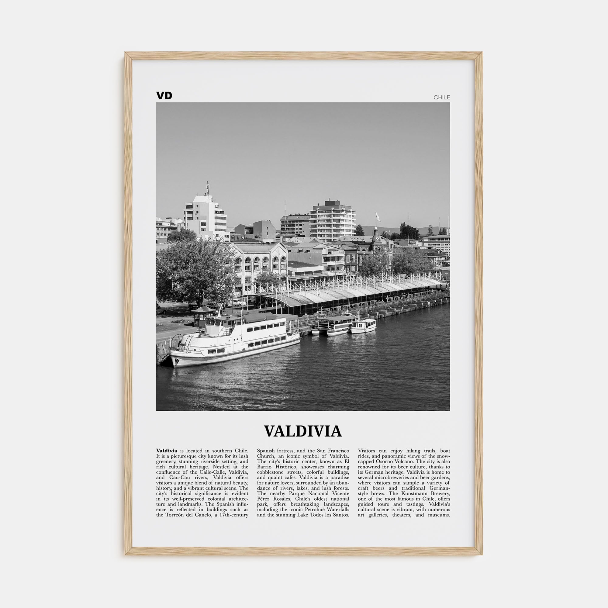 Valdivia Travel B&W Poster