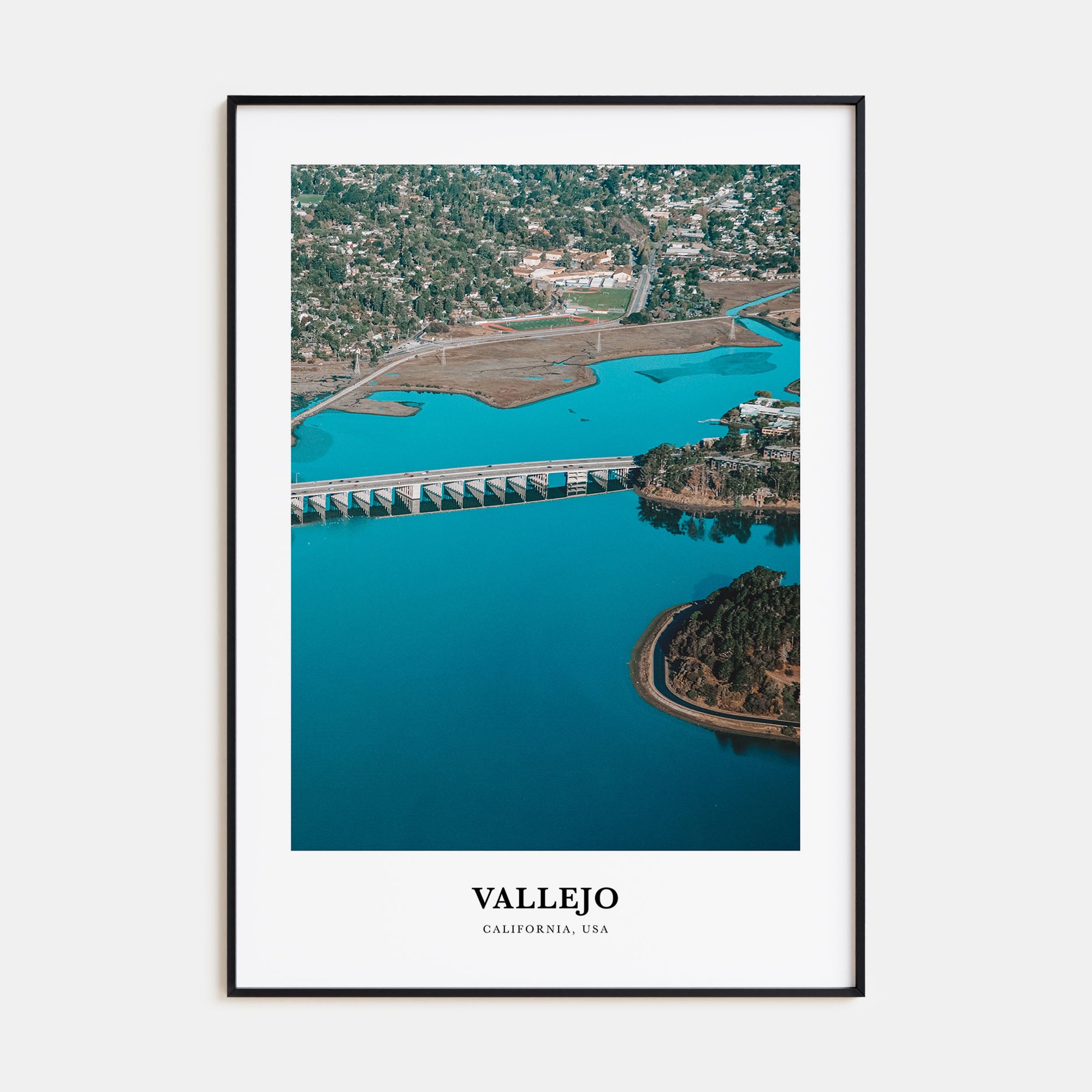 Vallejo Portrait Color Poster