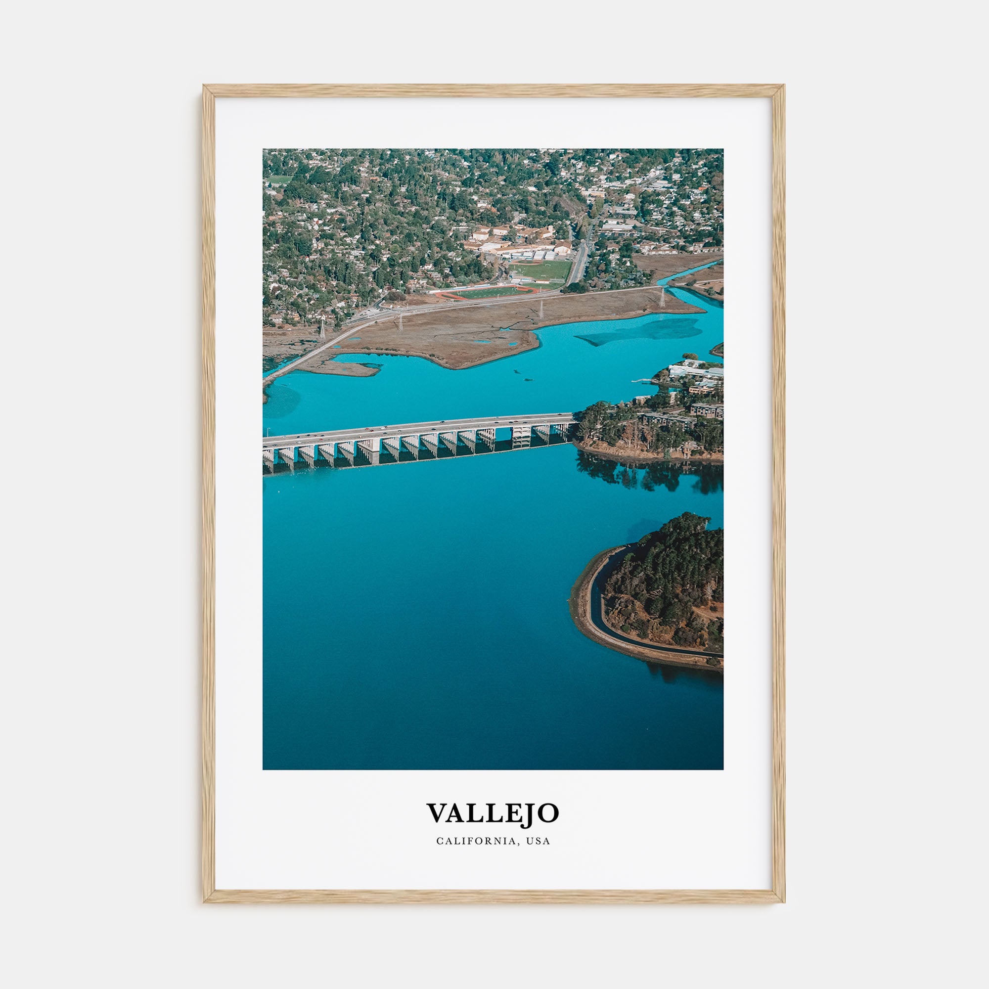 Vallejo Portrait Color Poster