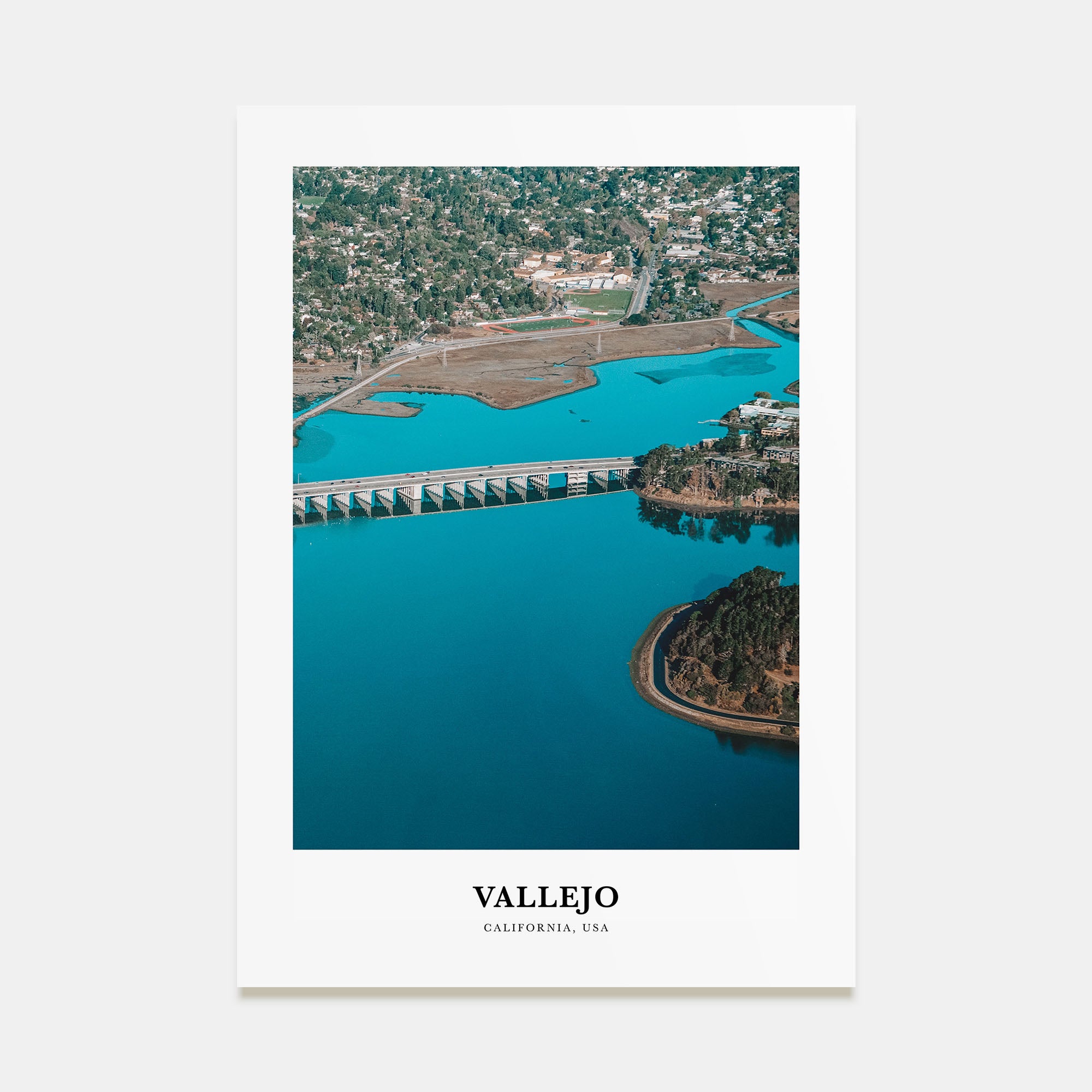 Vallejo Portrait Color Poster