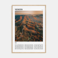 Veneto Travel Color Poster