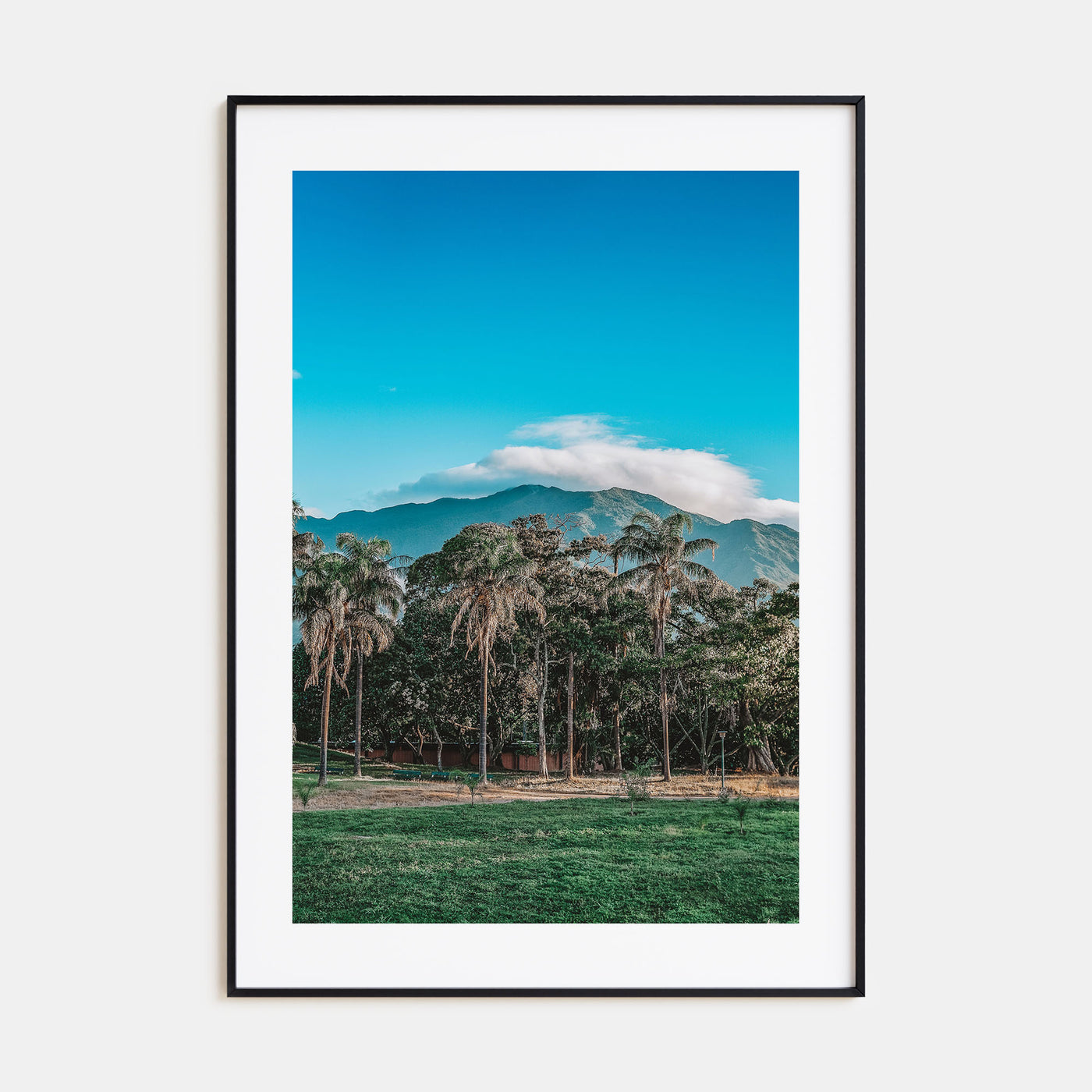 Venezuela Photo Color Poster