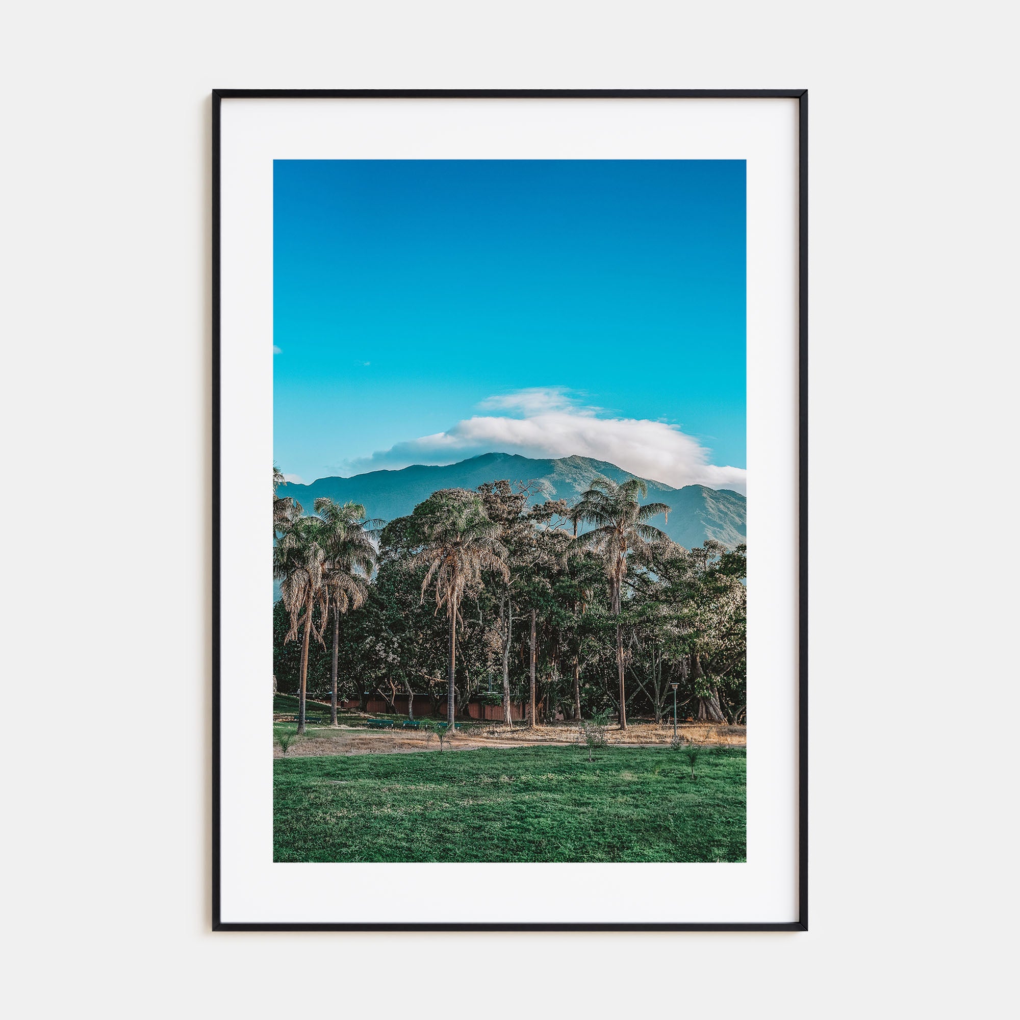 Venezuela Photo Color Poster