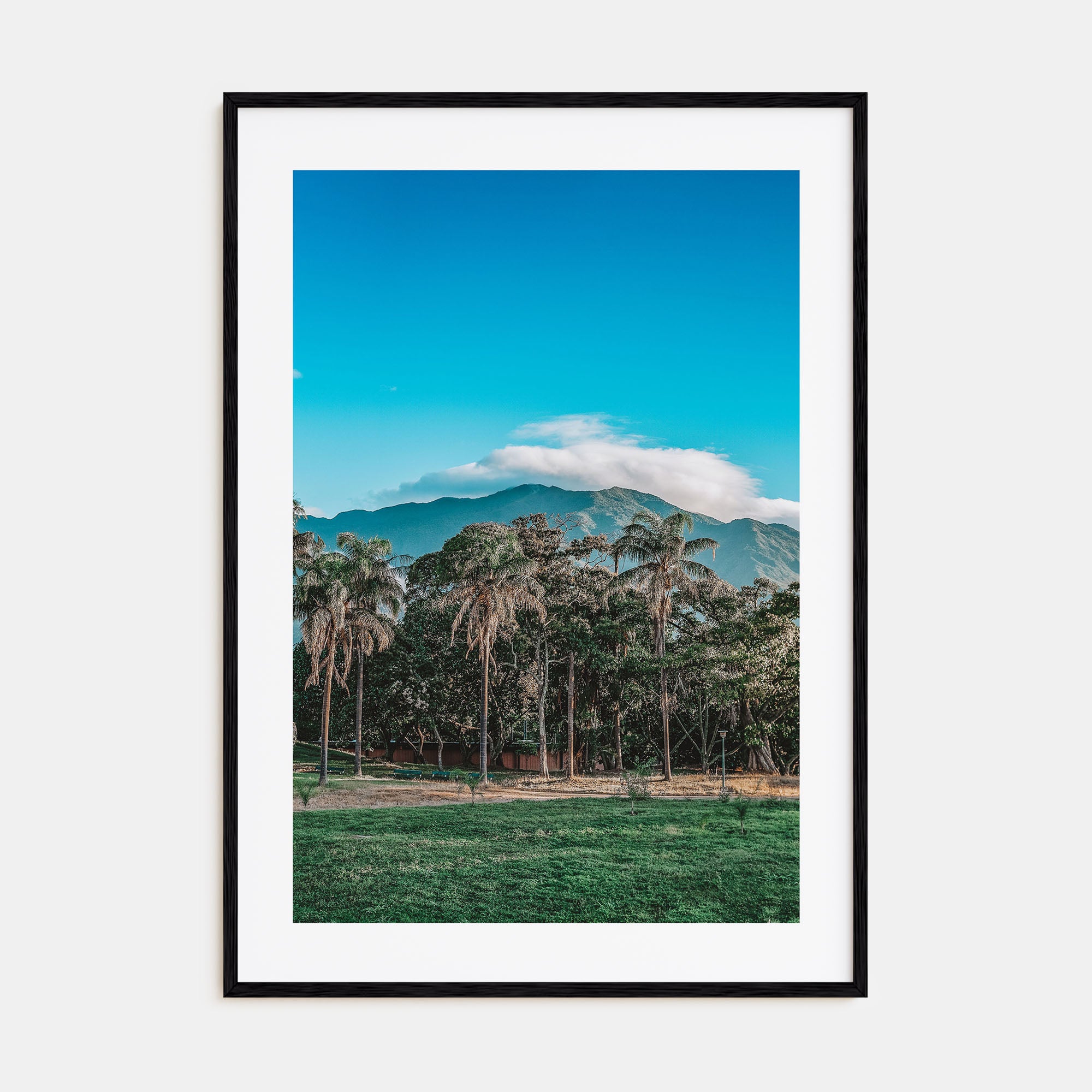 Venezuela Photo Color Poster