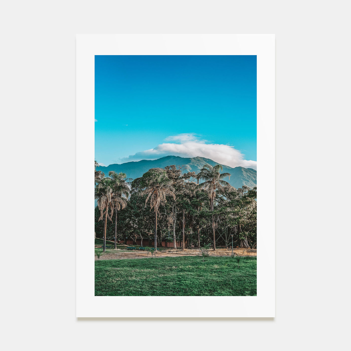 Venezuela Photo Color Poster