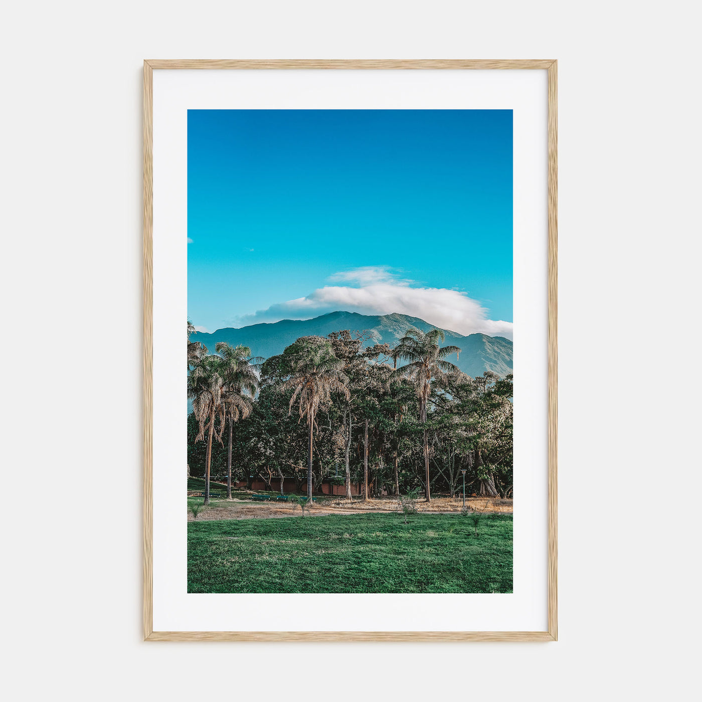 Venezuela Photo Color Poster