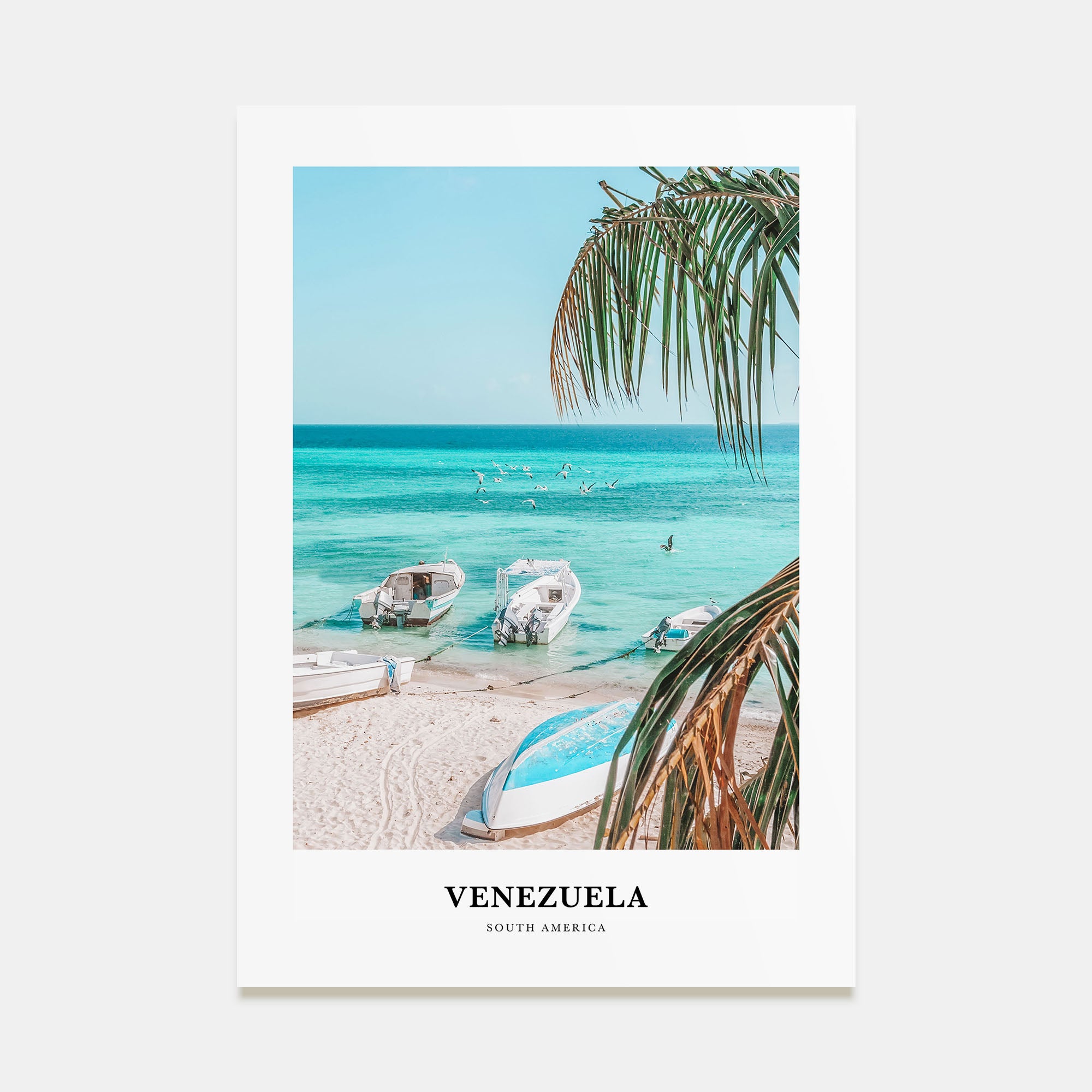 Venezuela Portrait Color No 2 Poster