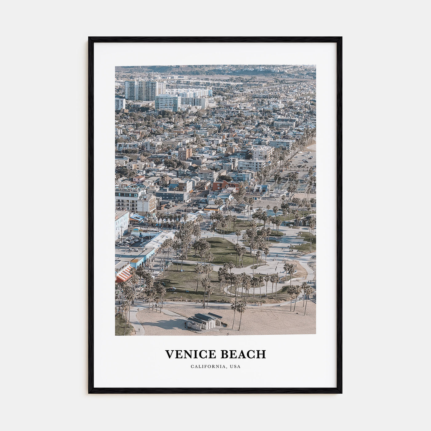 Venice Beach Portrait Color Poster