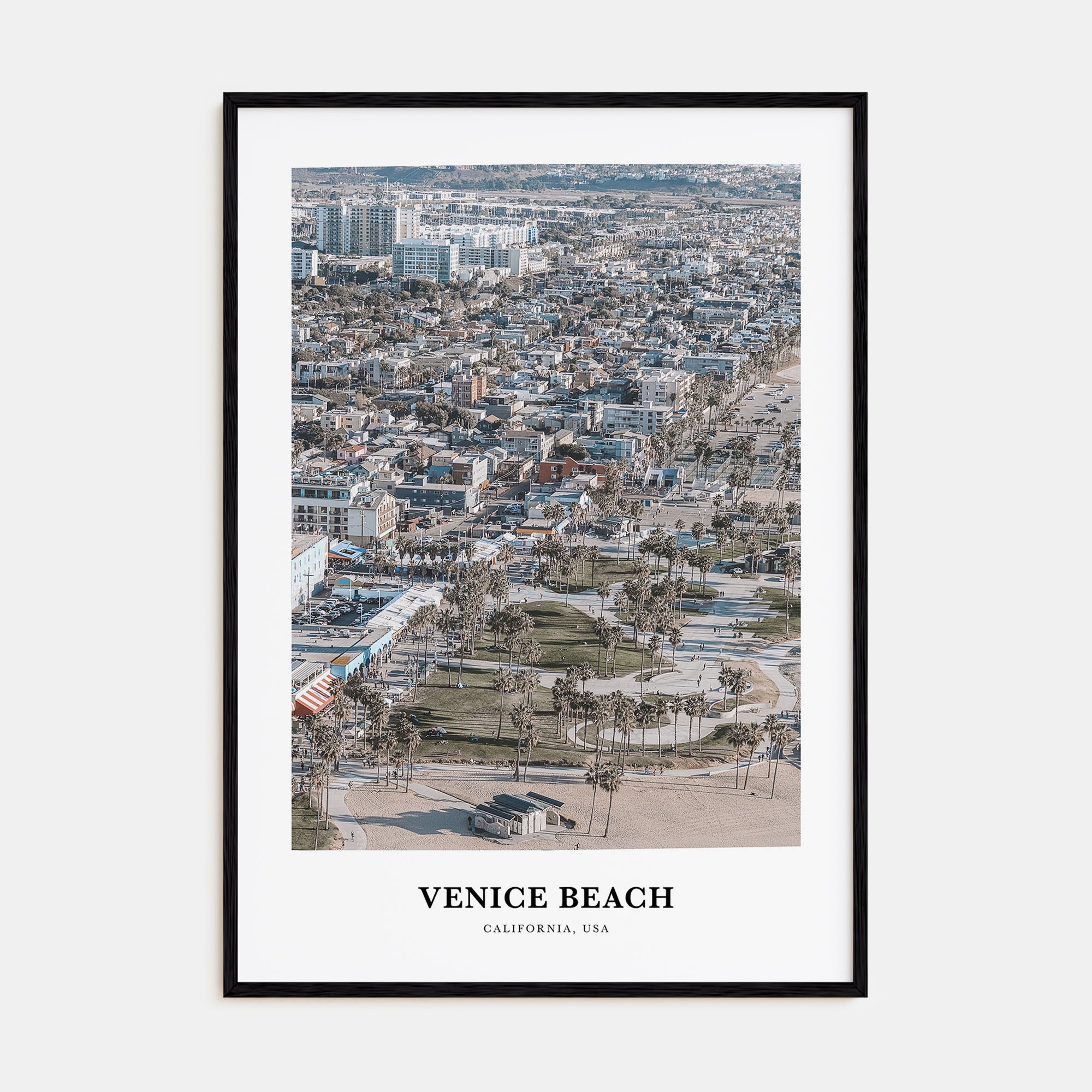 Venice Beach Portrait Color Poster