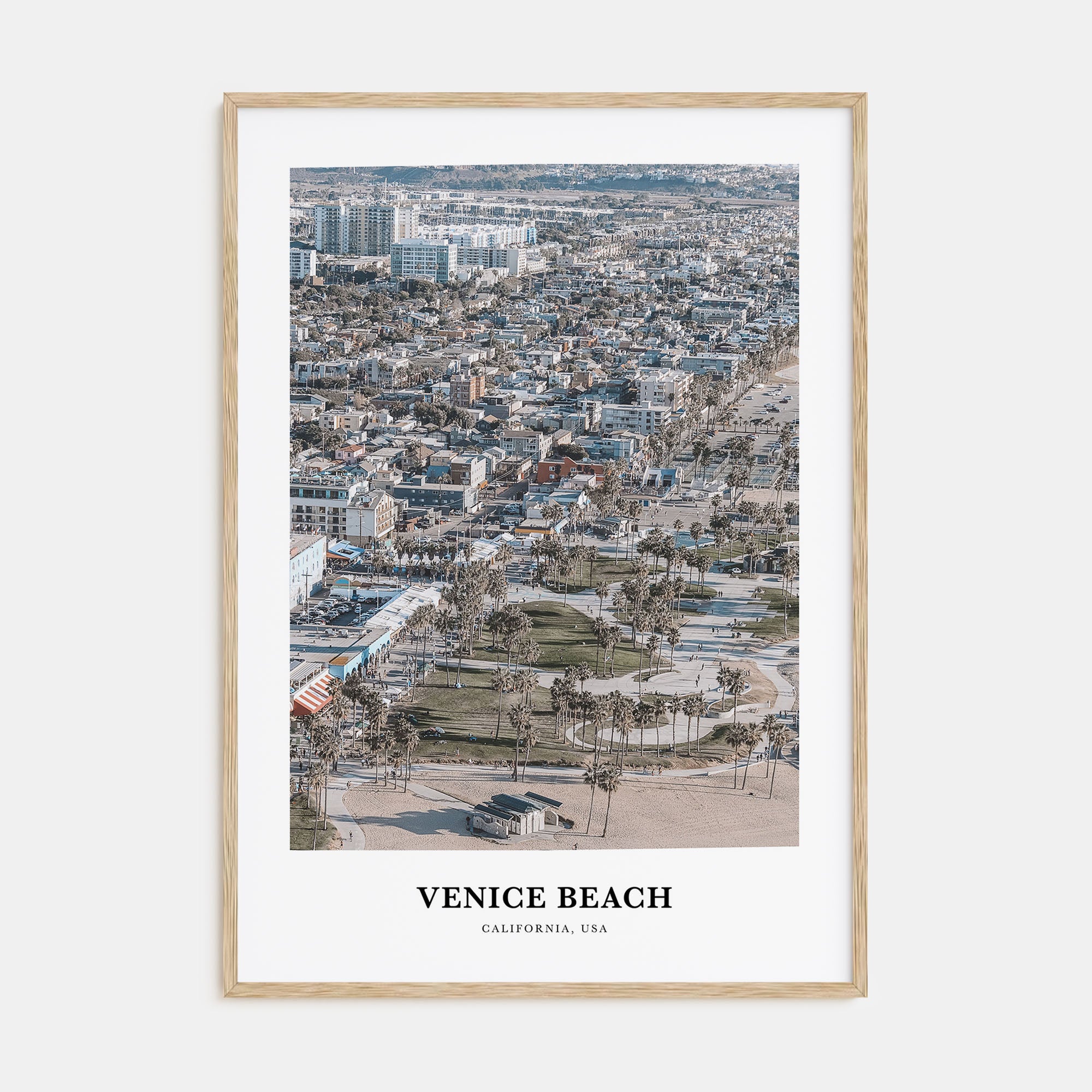 Venice Beach Portrait Color Poster