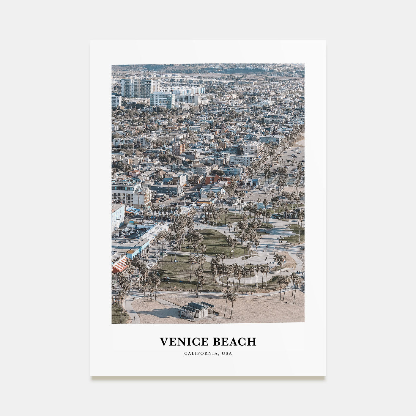 Venice Beach Portrait Color Poster