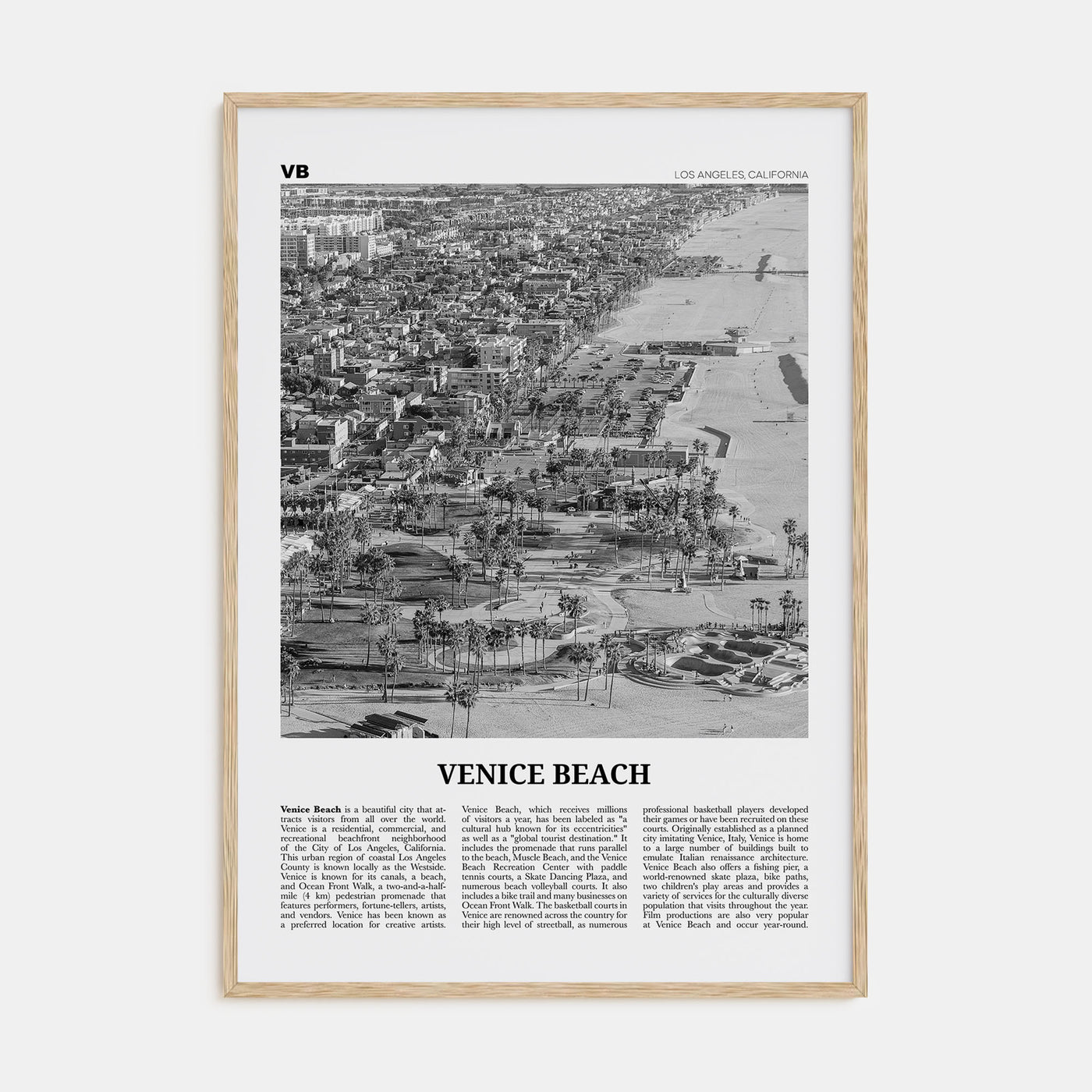 Venice Beach Travel B&W No 2 Poster