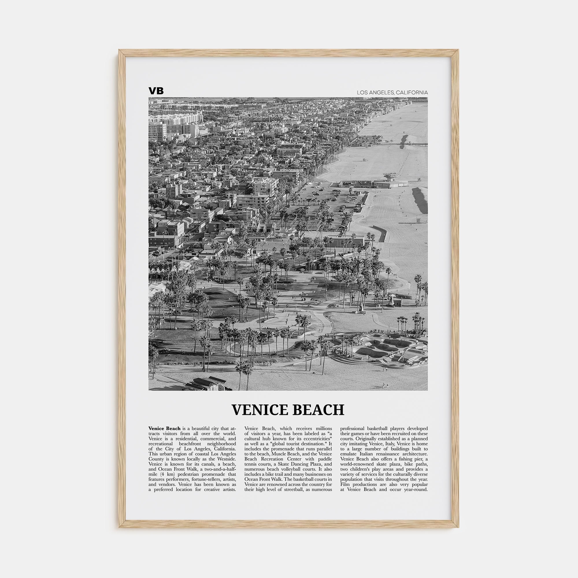 Venice Beach Travel B&W No 2 Poster