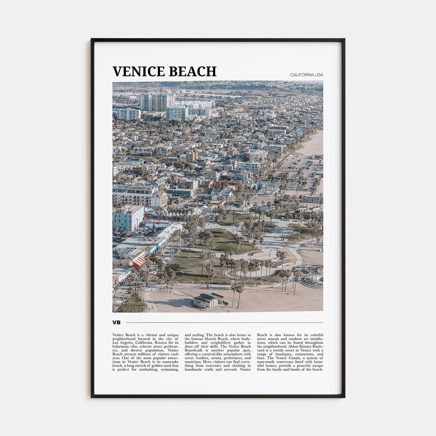 Venice Beach Travel Color Poster