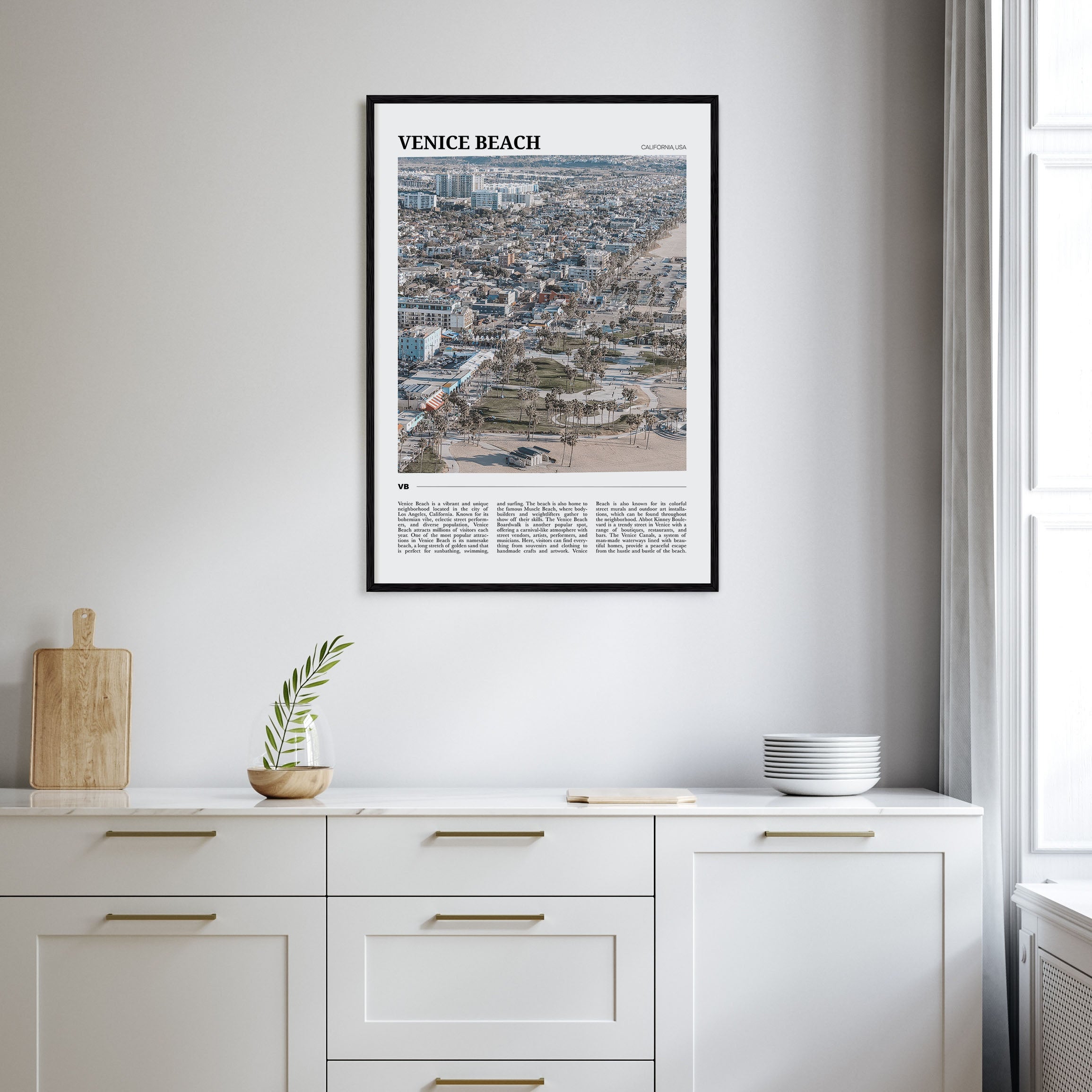Venice Beach Travel Color Poster