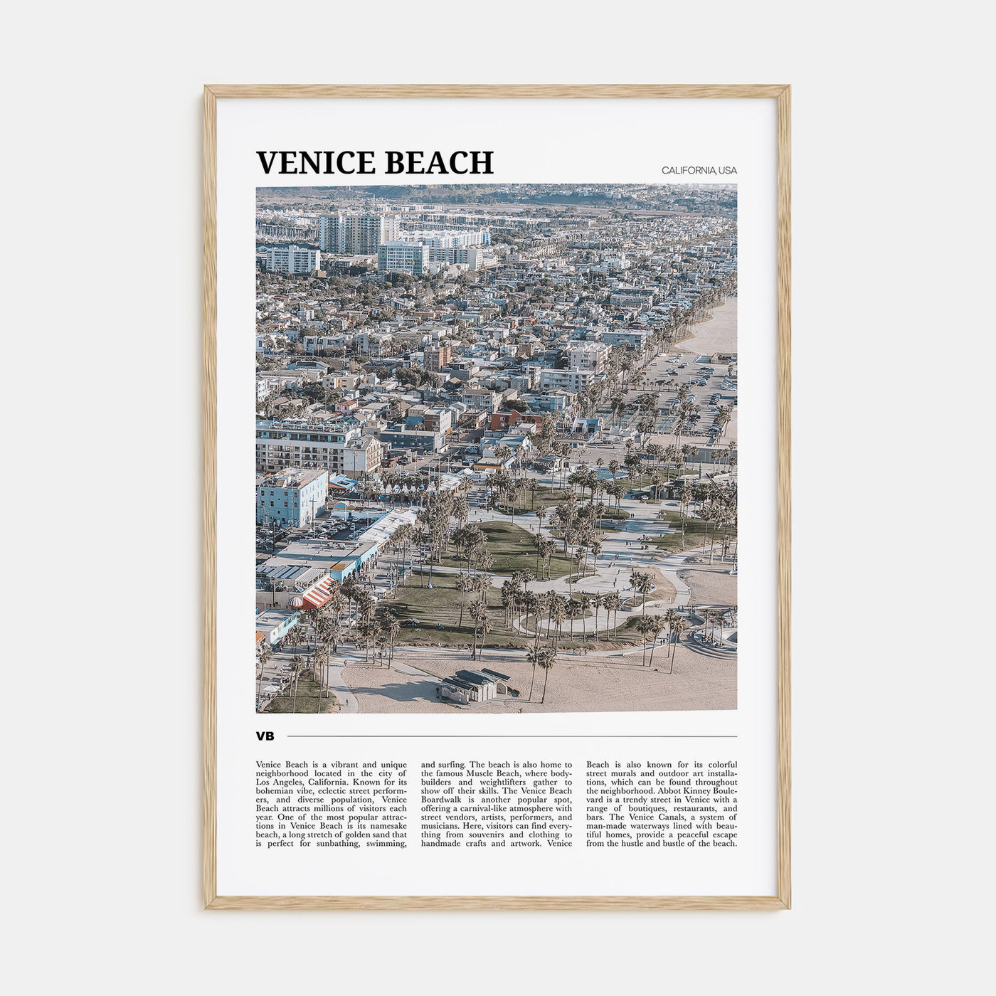 Venice Beach Travel Color Poster