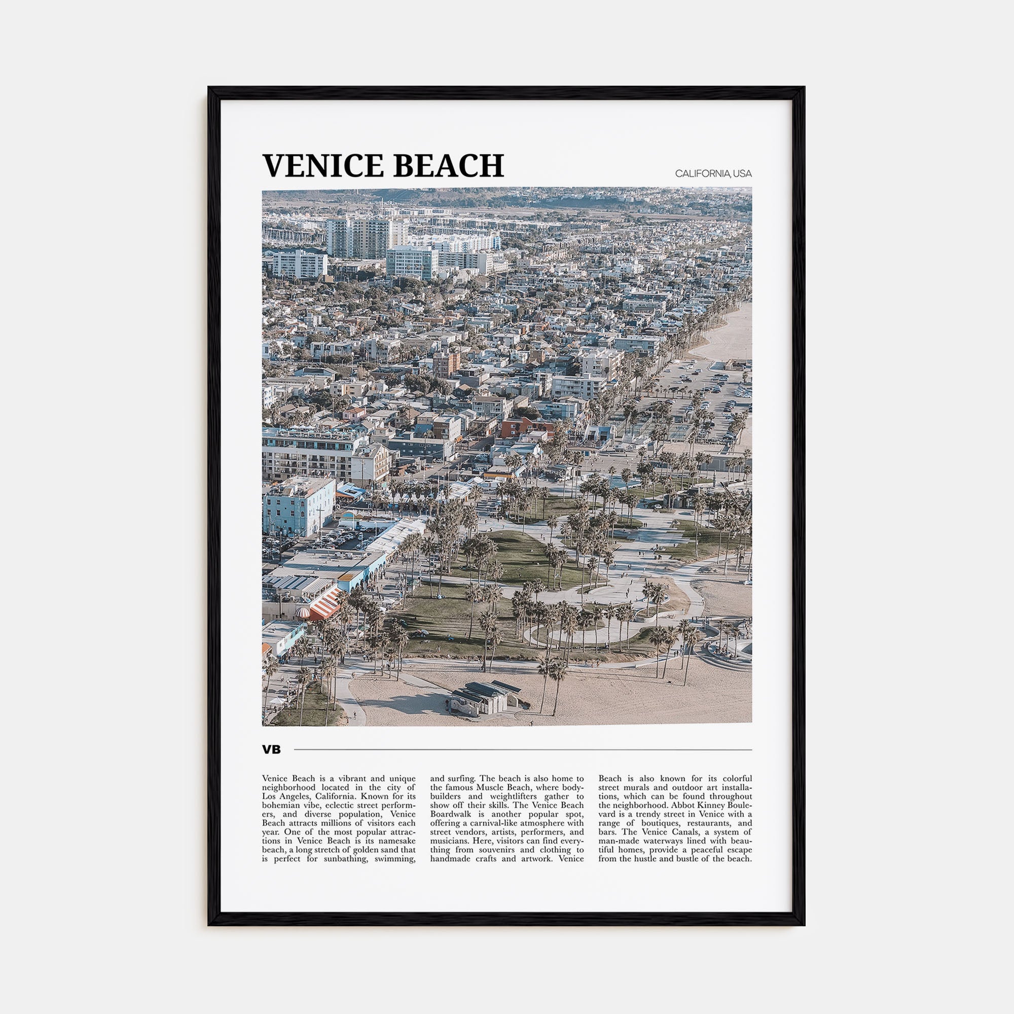 Venice Beach Travel Color Poster