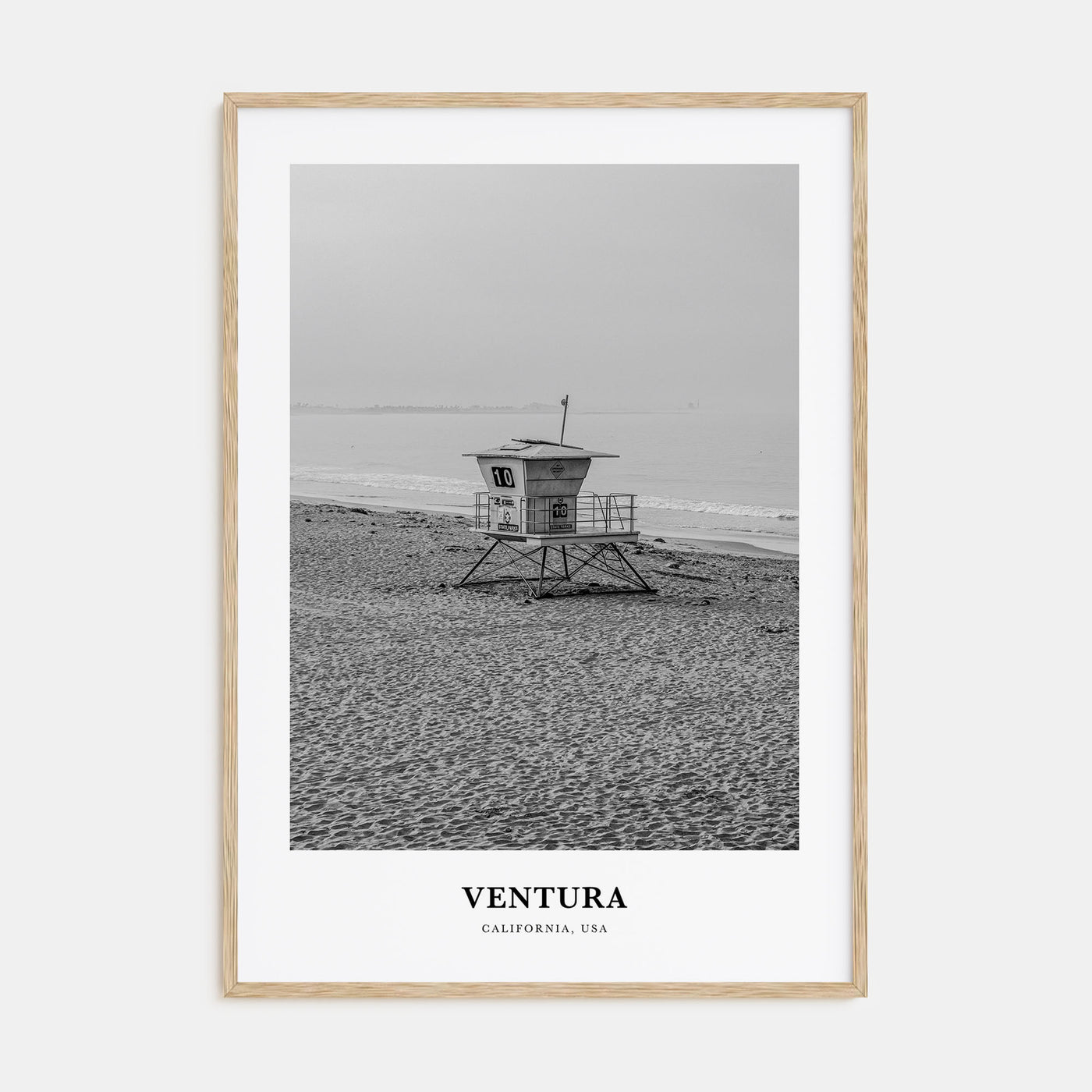 Ventura Portrait B&W No 1 Poster