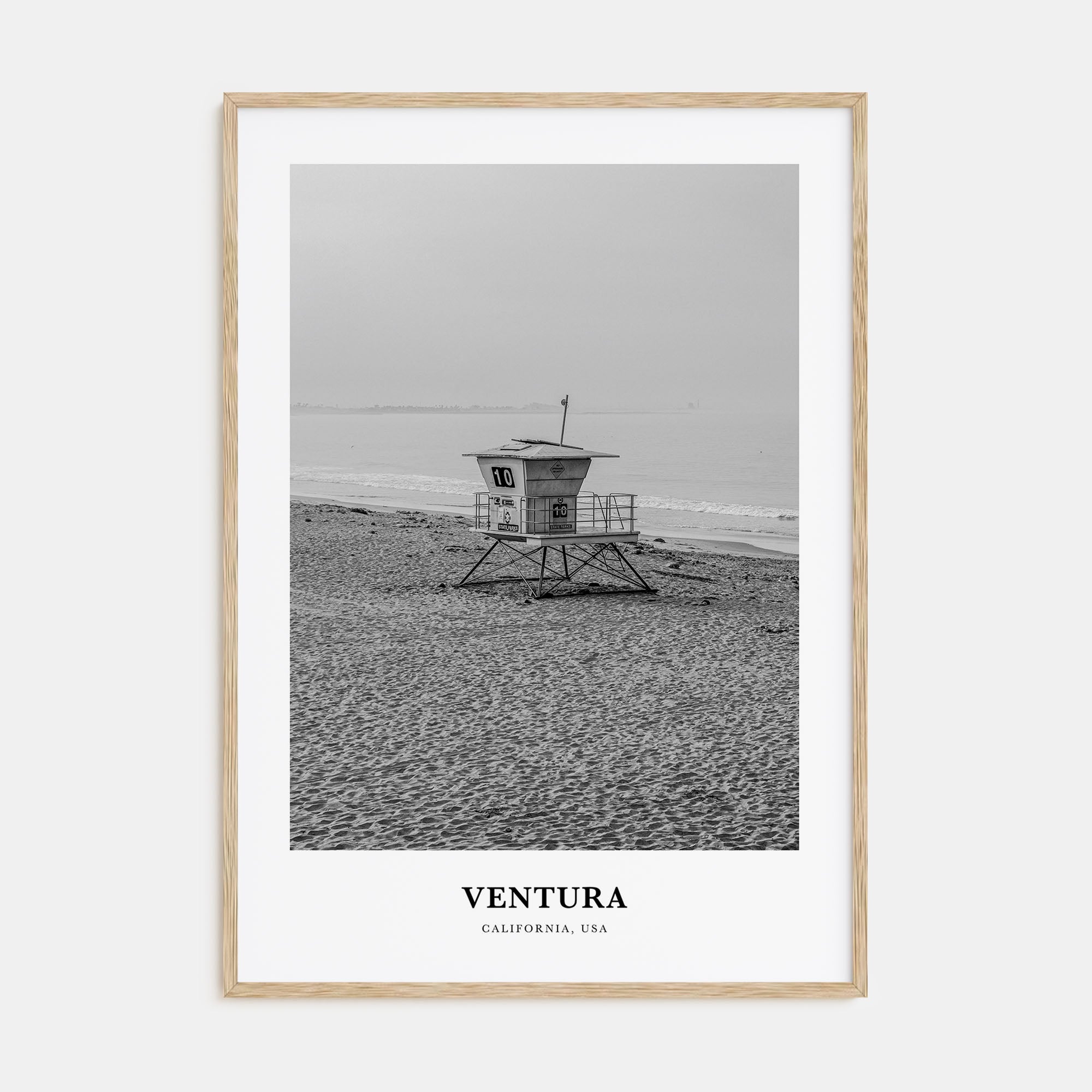 Ventura Portrait B&W No 1 Poster
