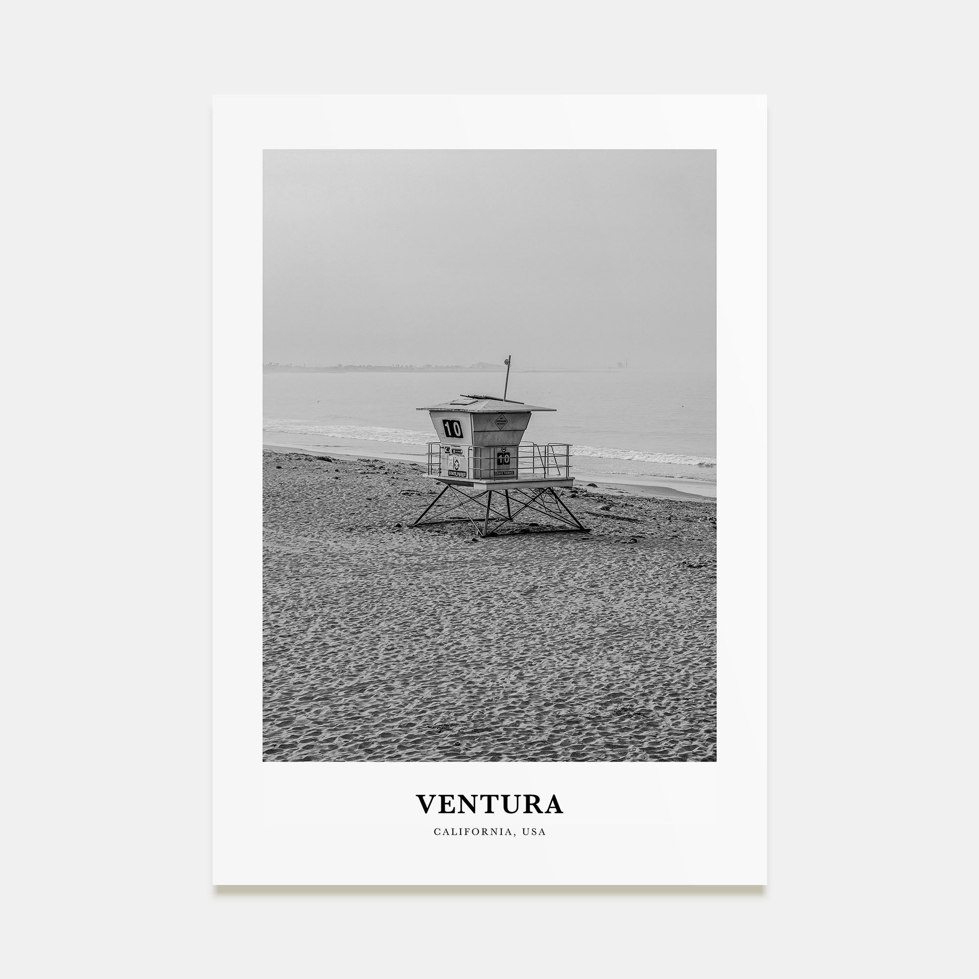 Ventura Portrait B&W No 1 Poster