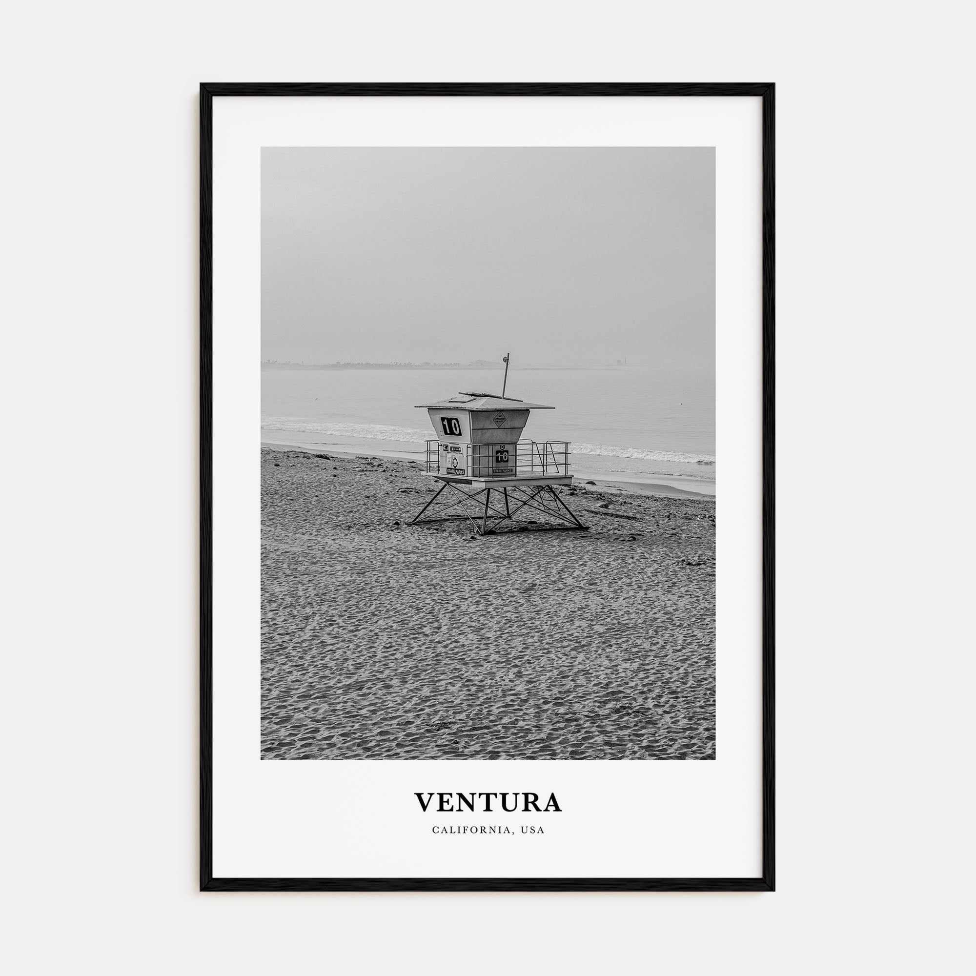 Ventura Portrait B&W No 1 Poster