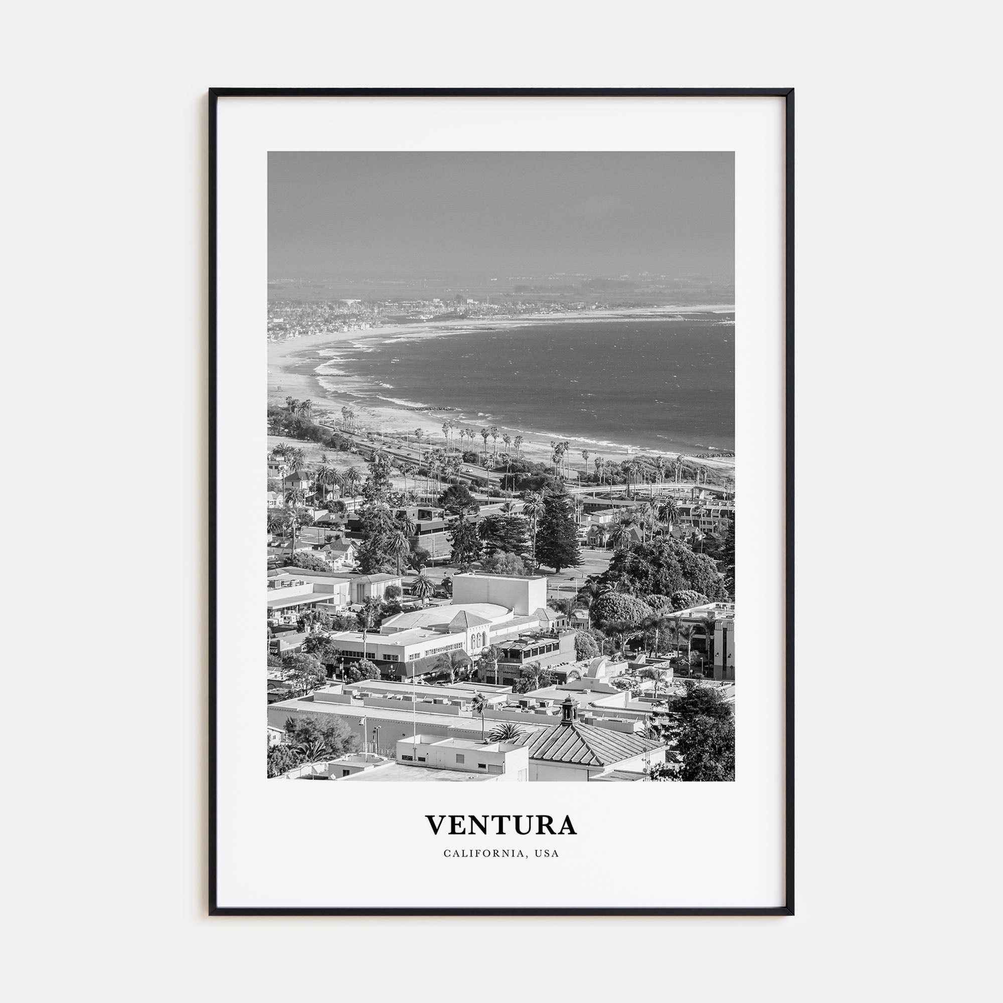 Ventura Portrait B&W No 2 Poster