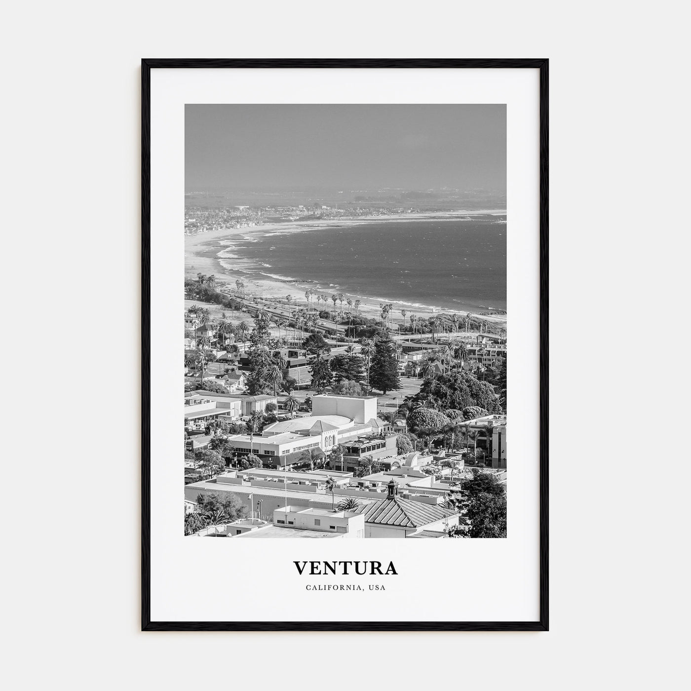 Ventura Portrait B&W No 2 Poster